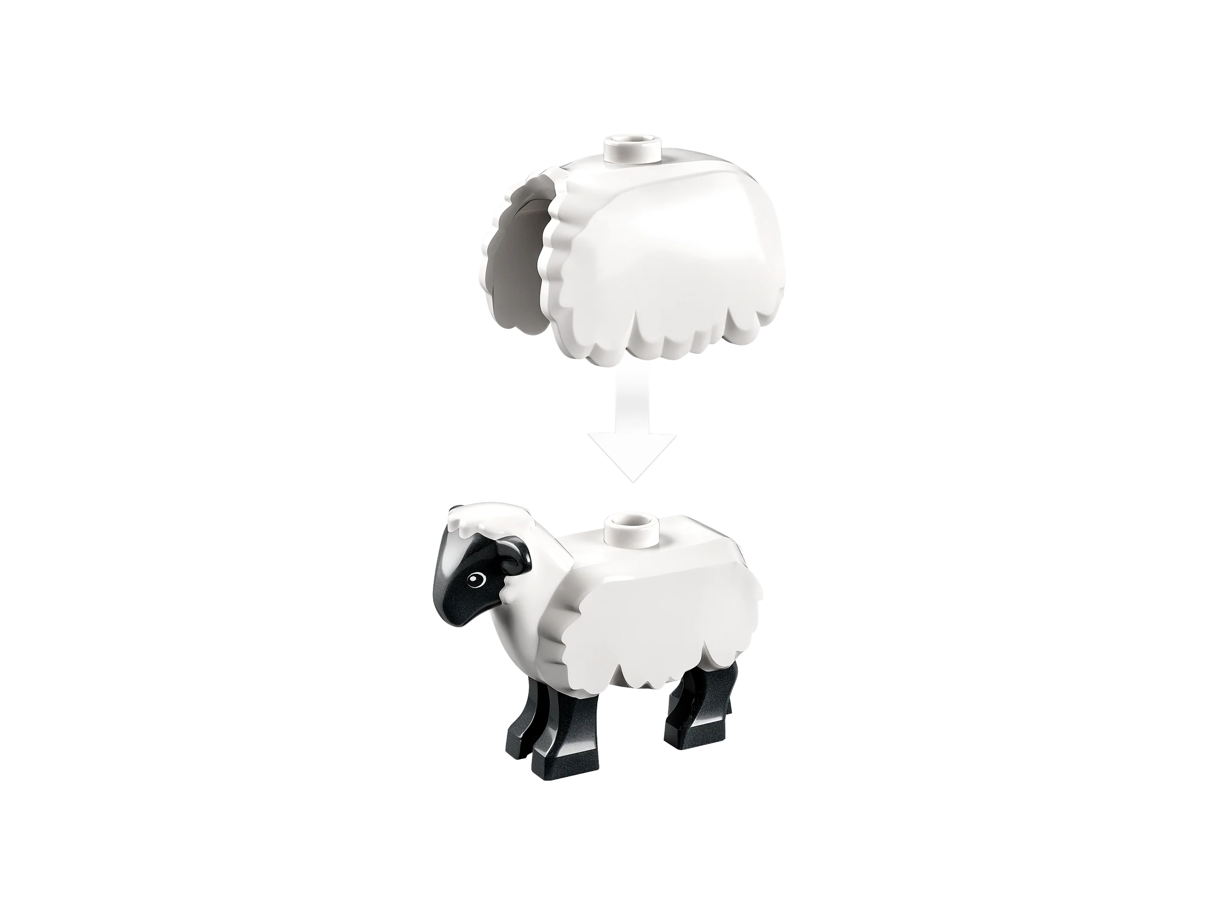 Barn & Farm Animals - Image 6