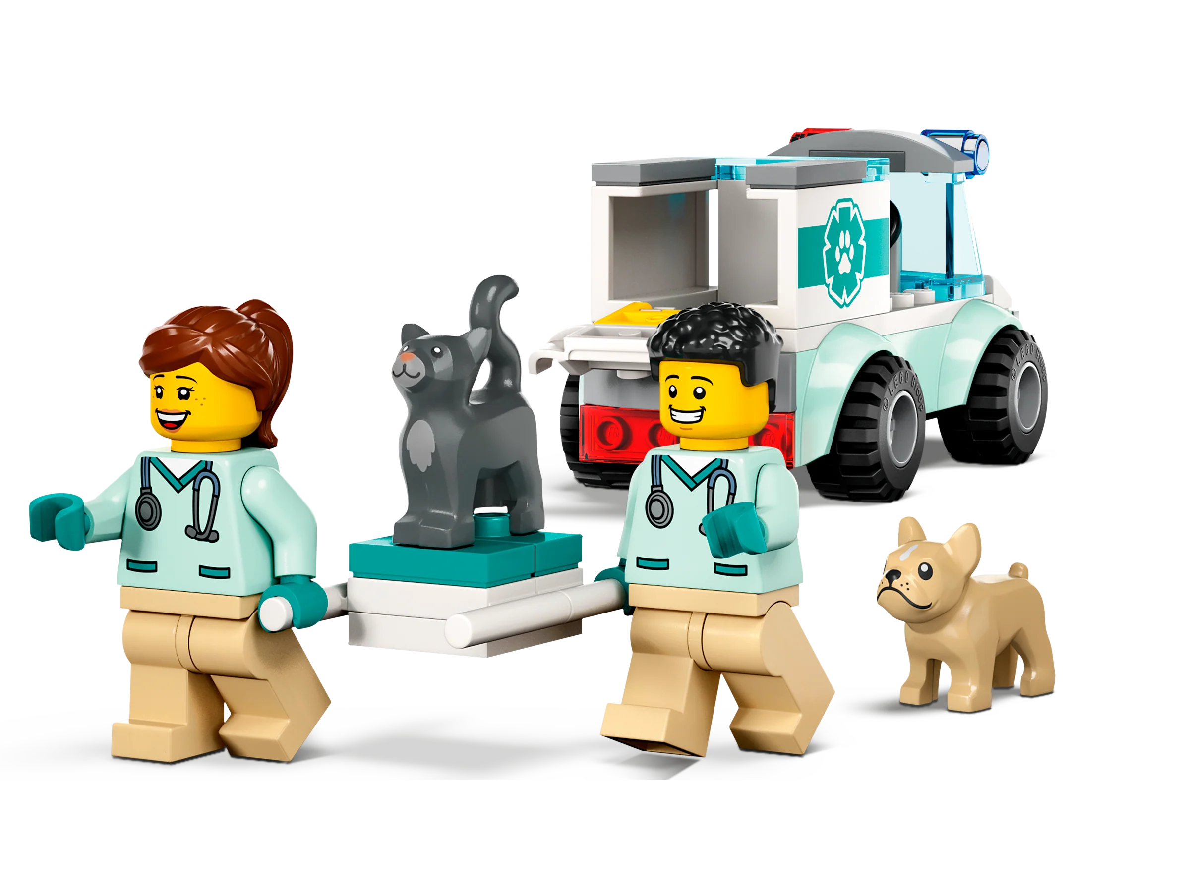 Vet Van Rescue - Image 4