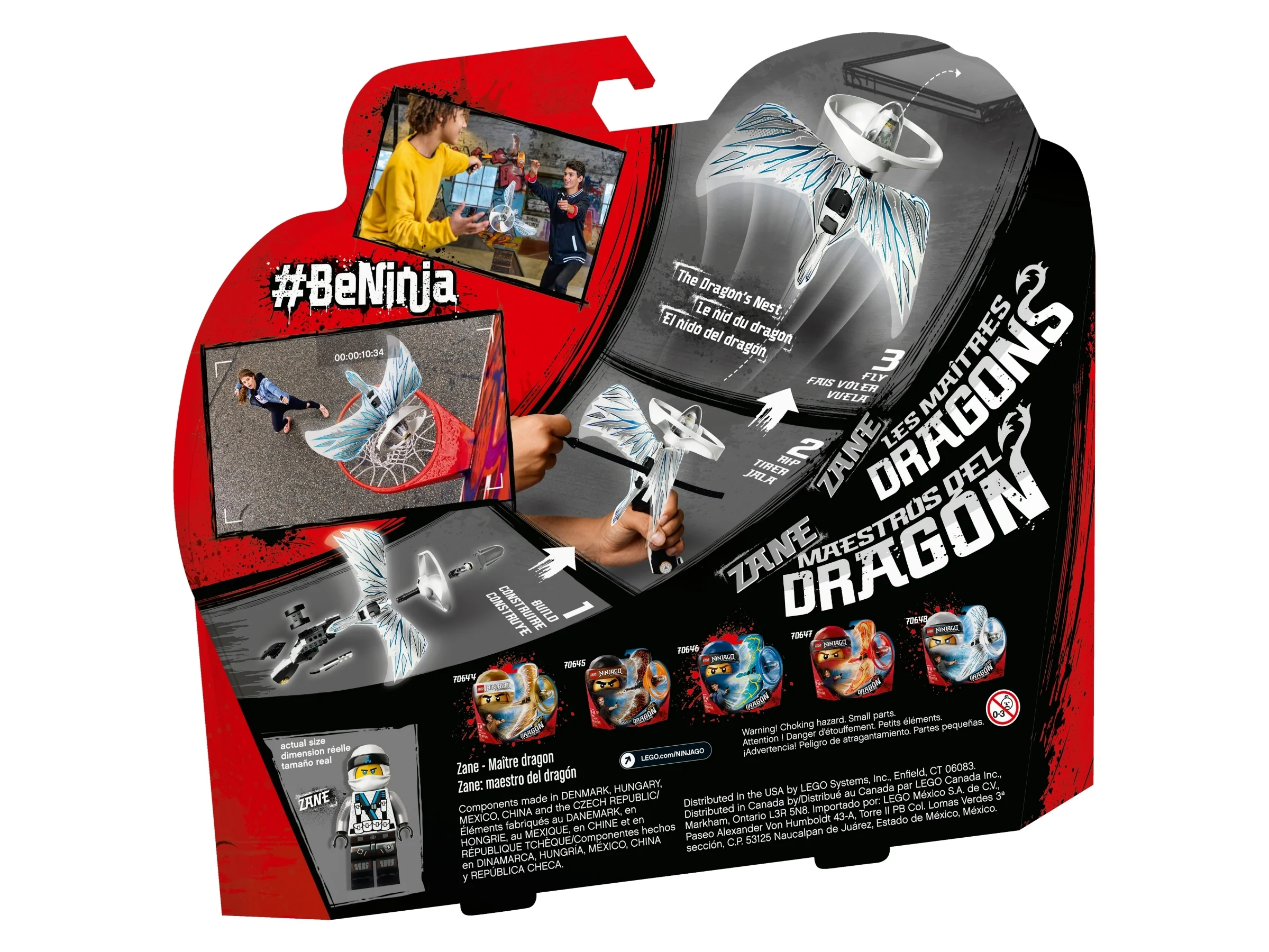 Zane - Dragon Master - Image 5