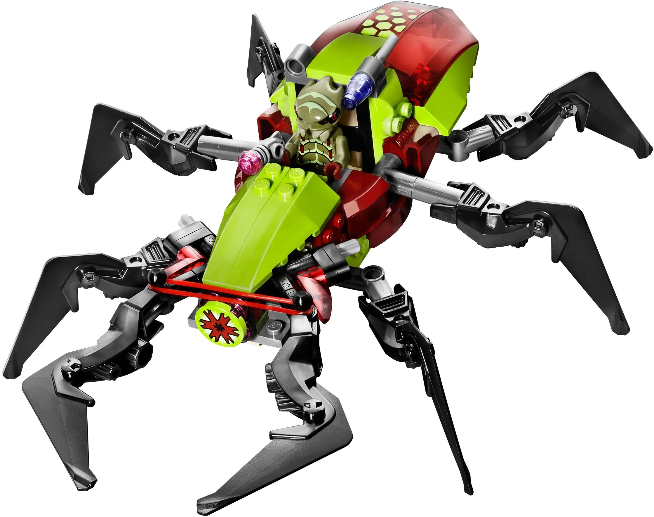 Crater Creeper - Image 3