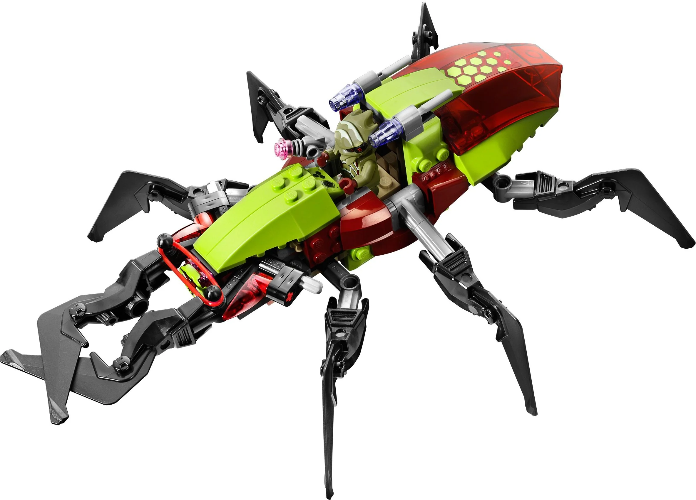 Crater Creeper - Image 4