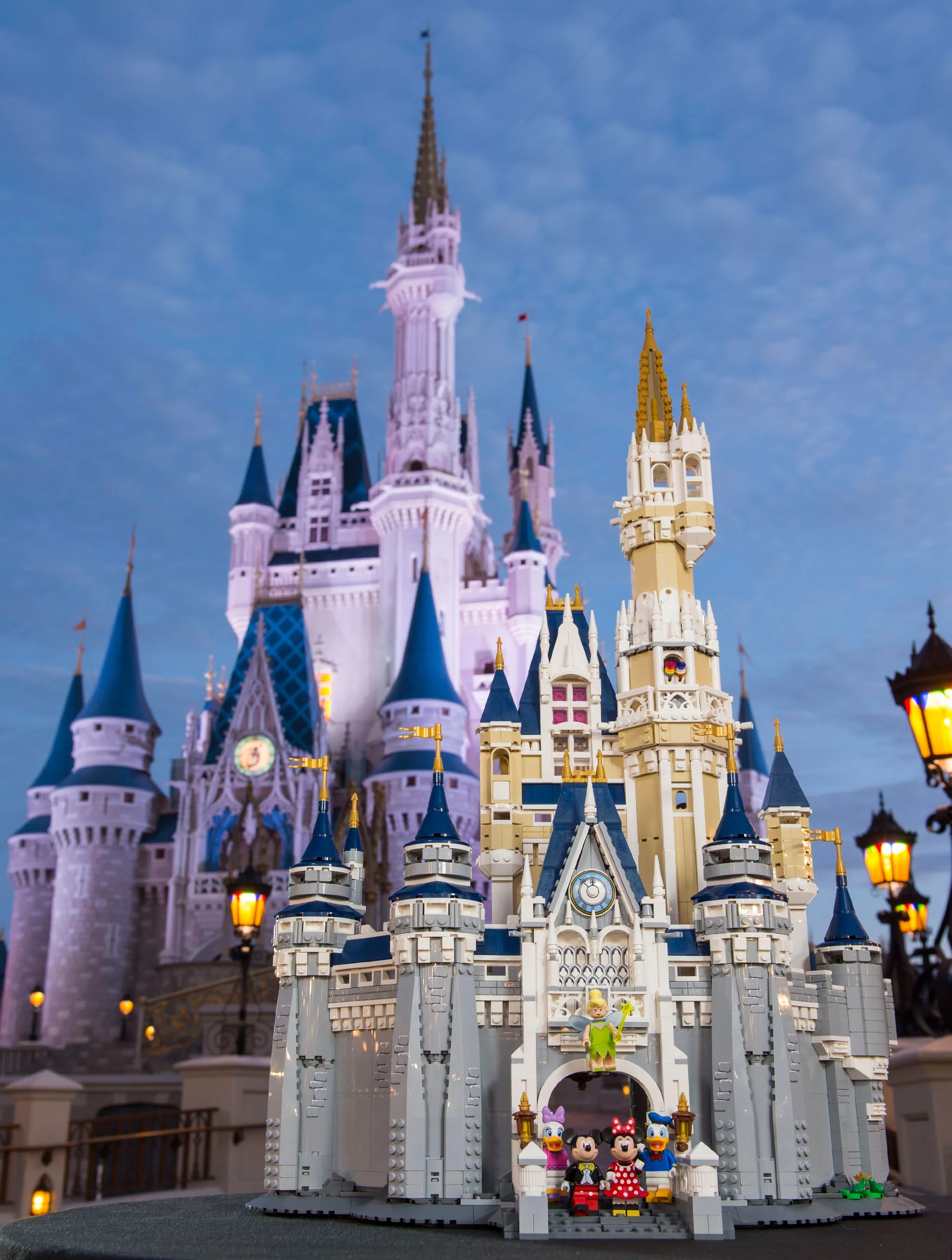 Disney Castle - Image 14