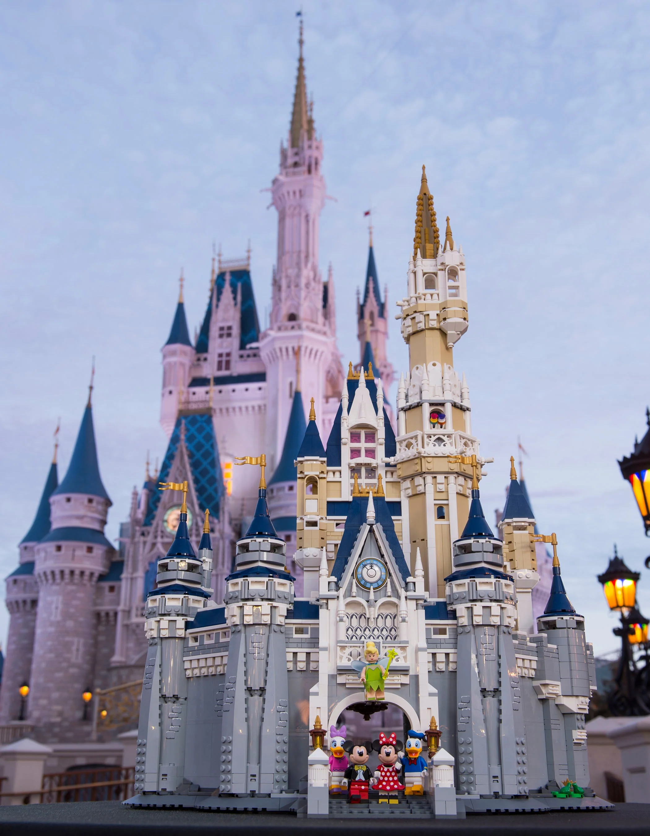 Disney Castle - Image 15