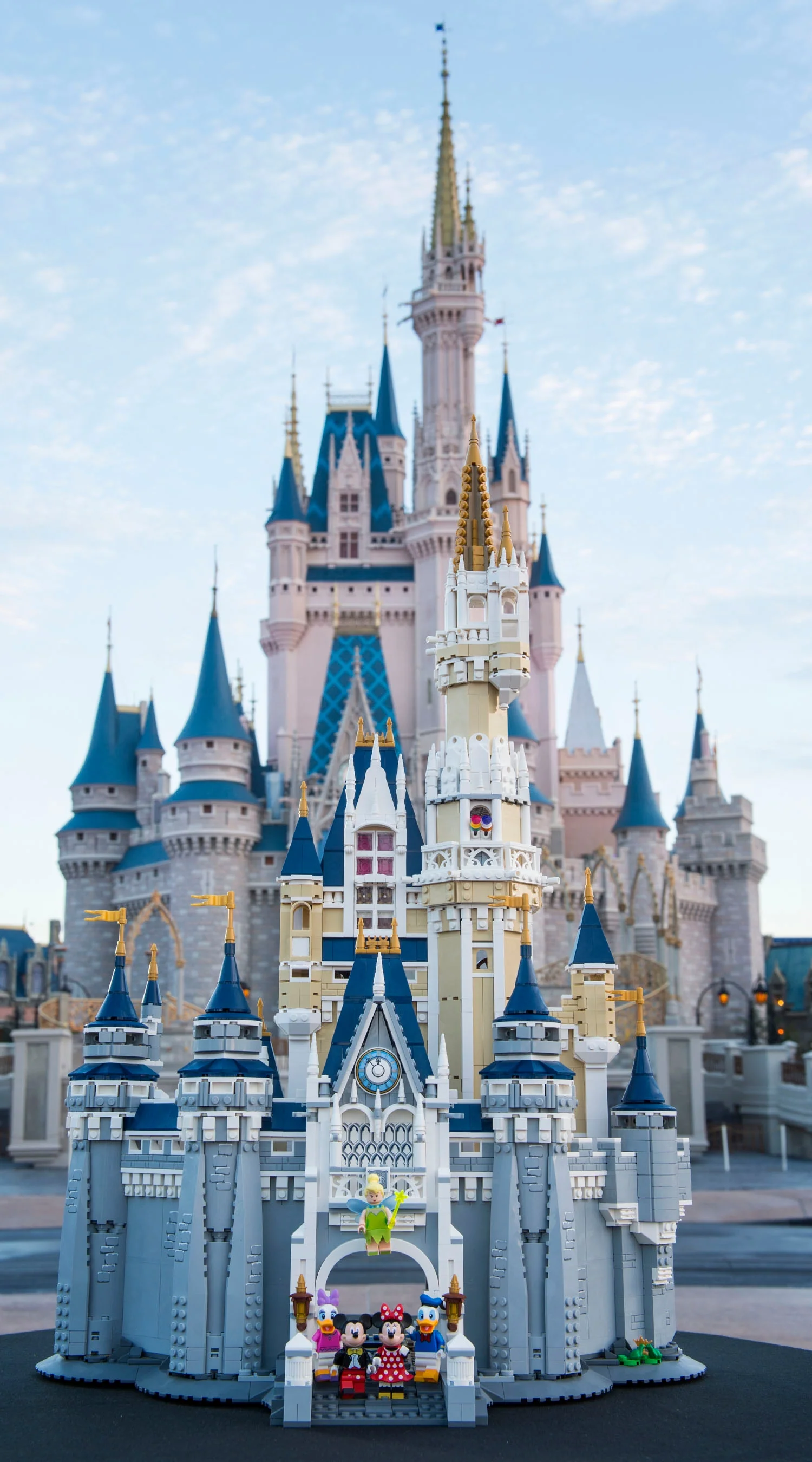 Disney Castle - Image 16