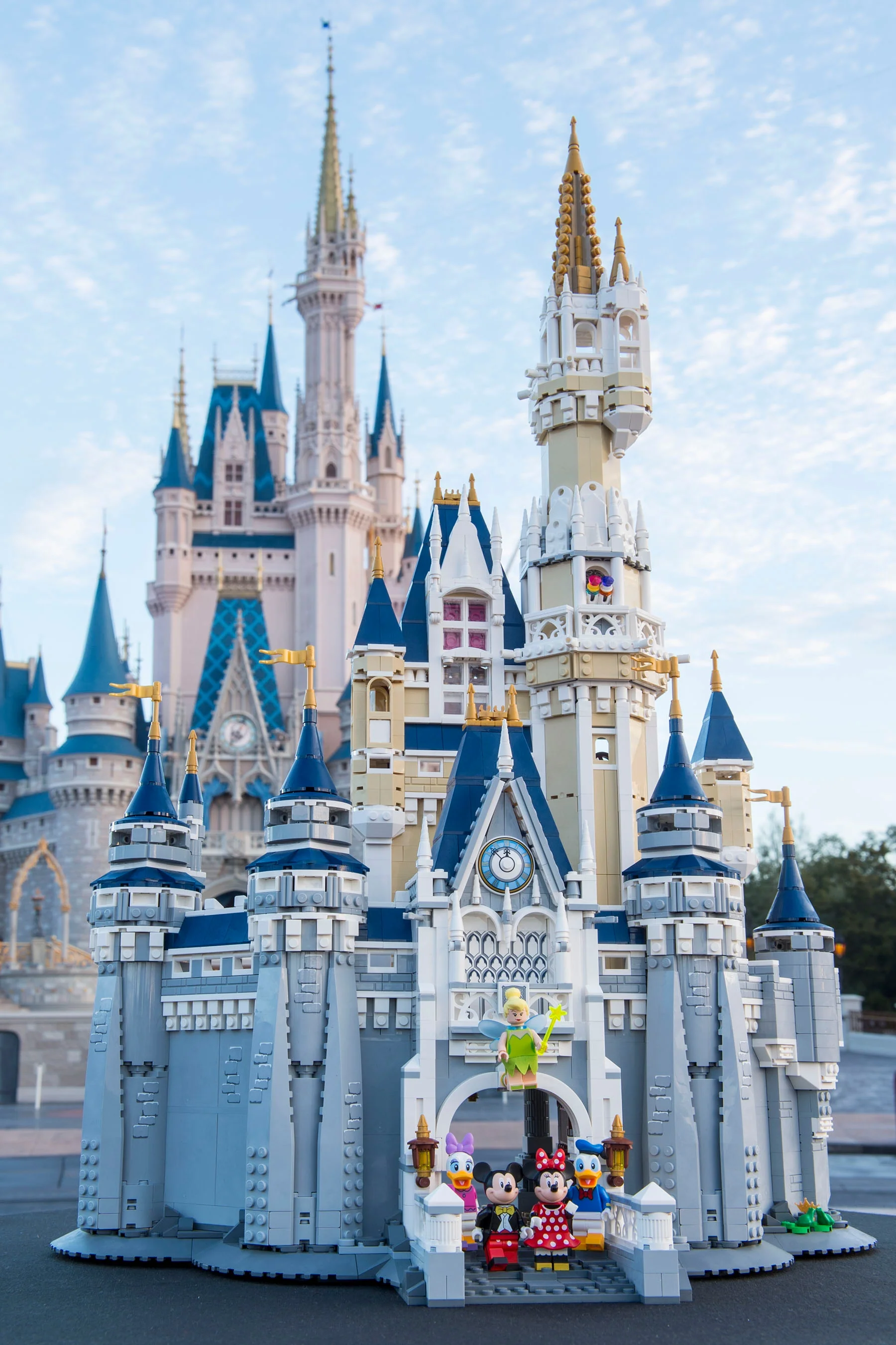 Disney Castle - Image 17