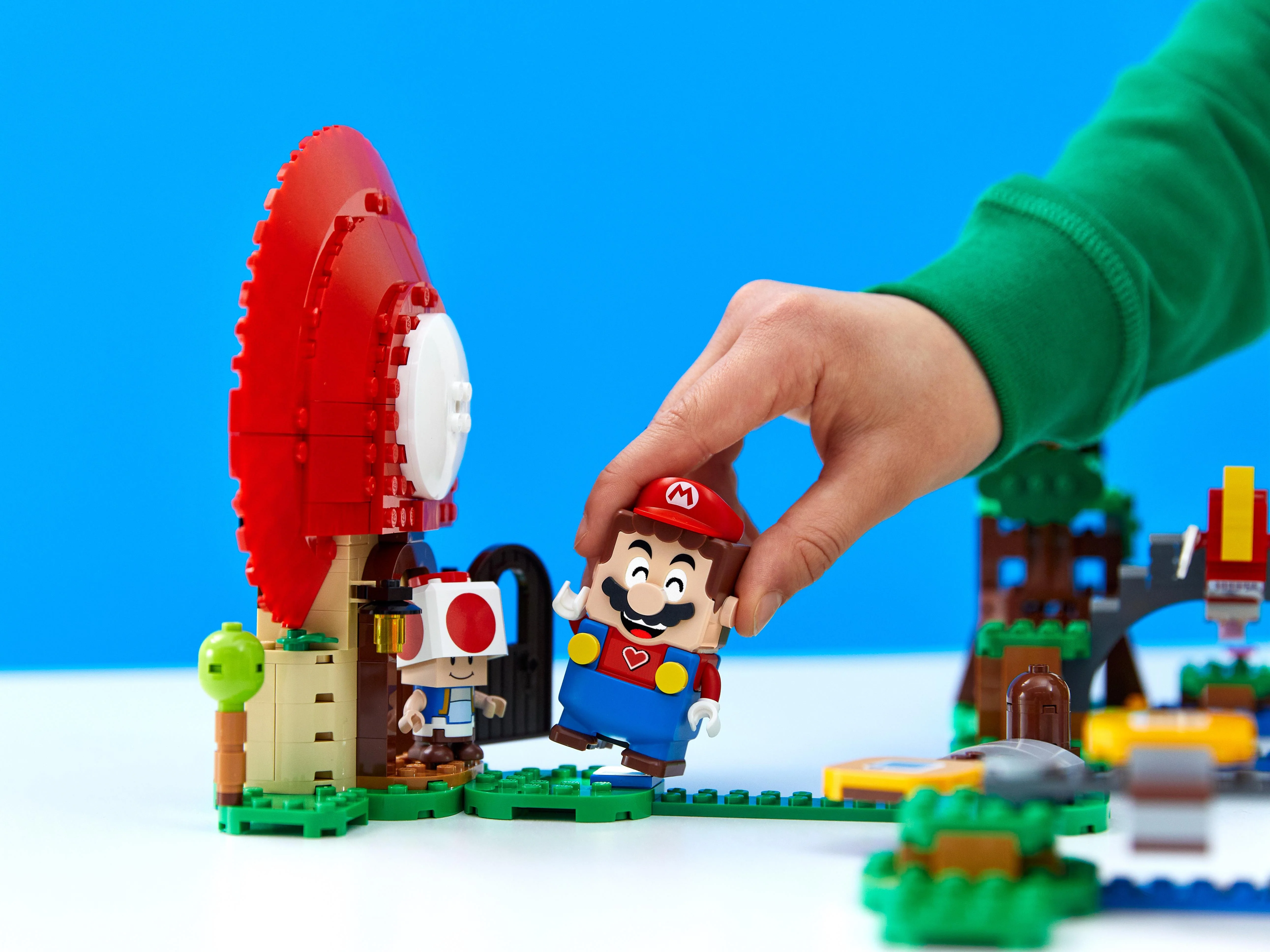Toad's Treasure Hunt - Image 10