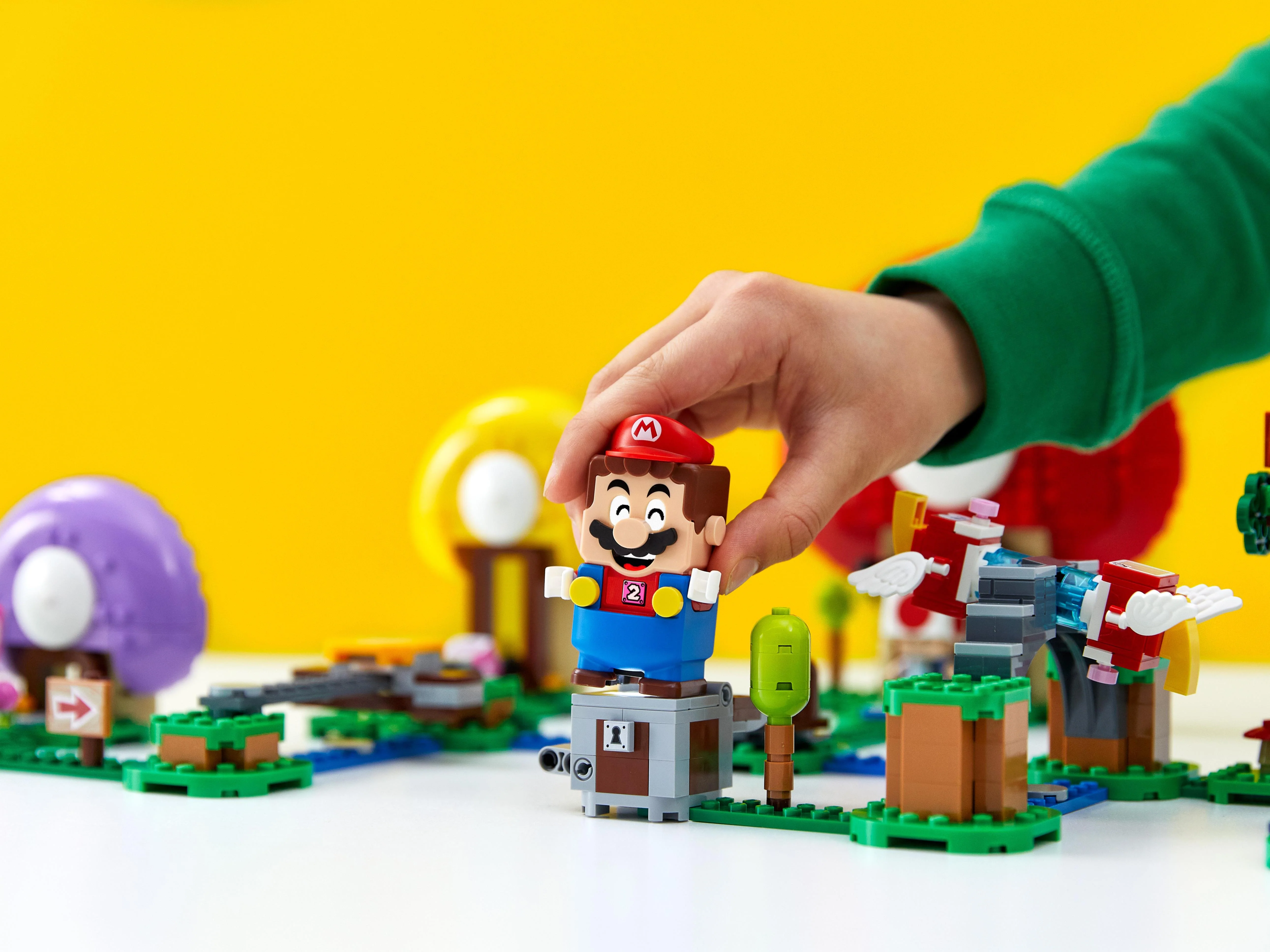 Toad's Treasure Hunt - Image 11