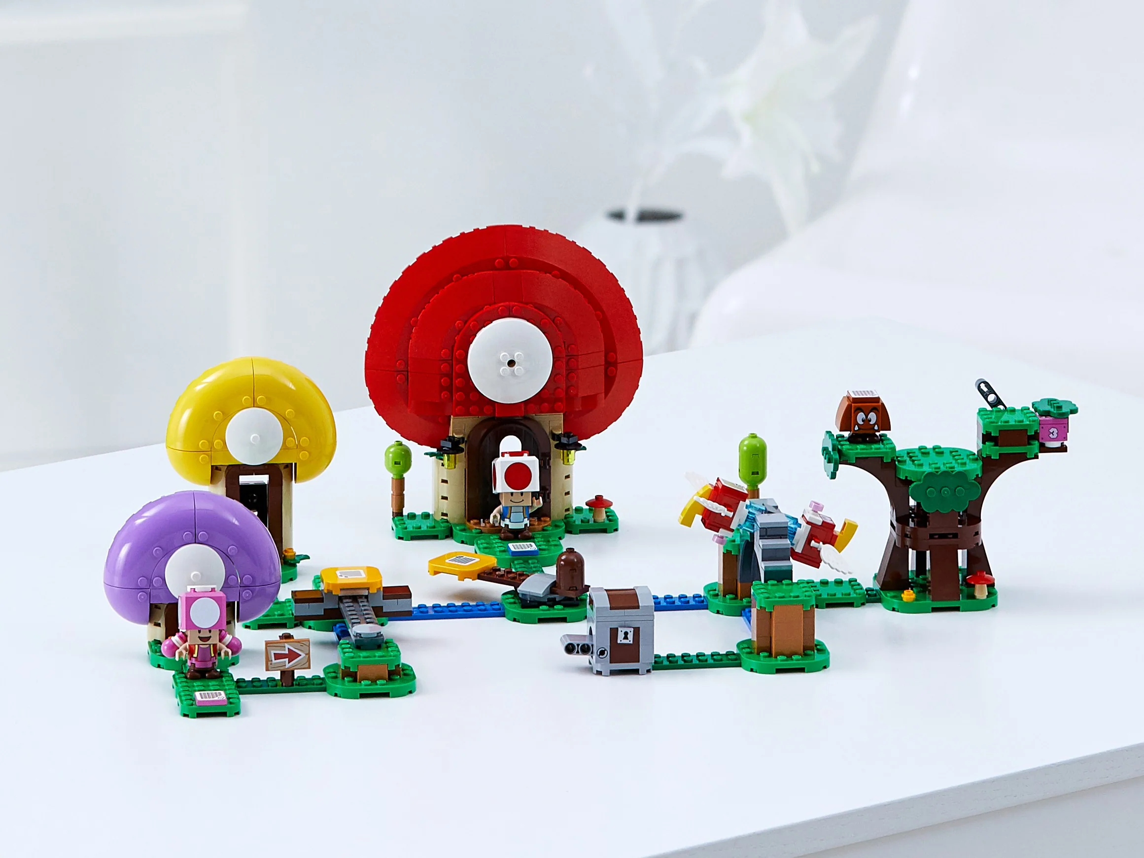 Toad's Treasure Hunt - Image 4