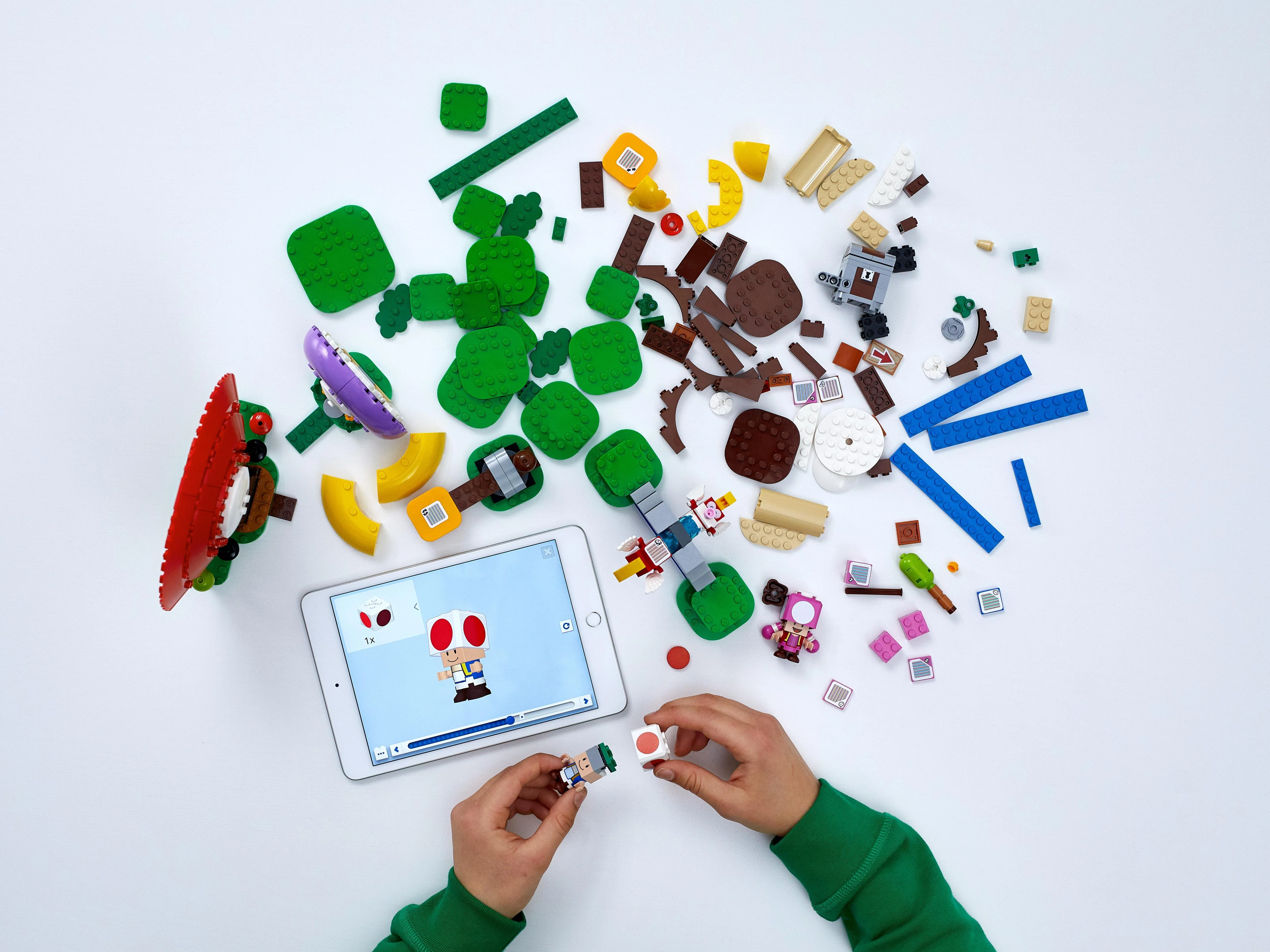 Toad's Treasure Hunt - Image 7
