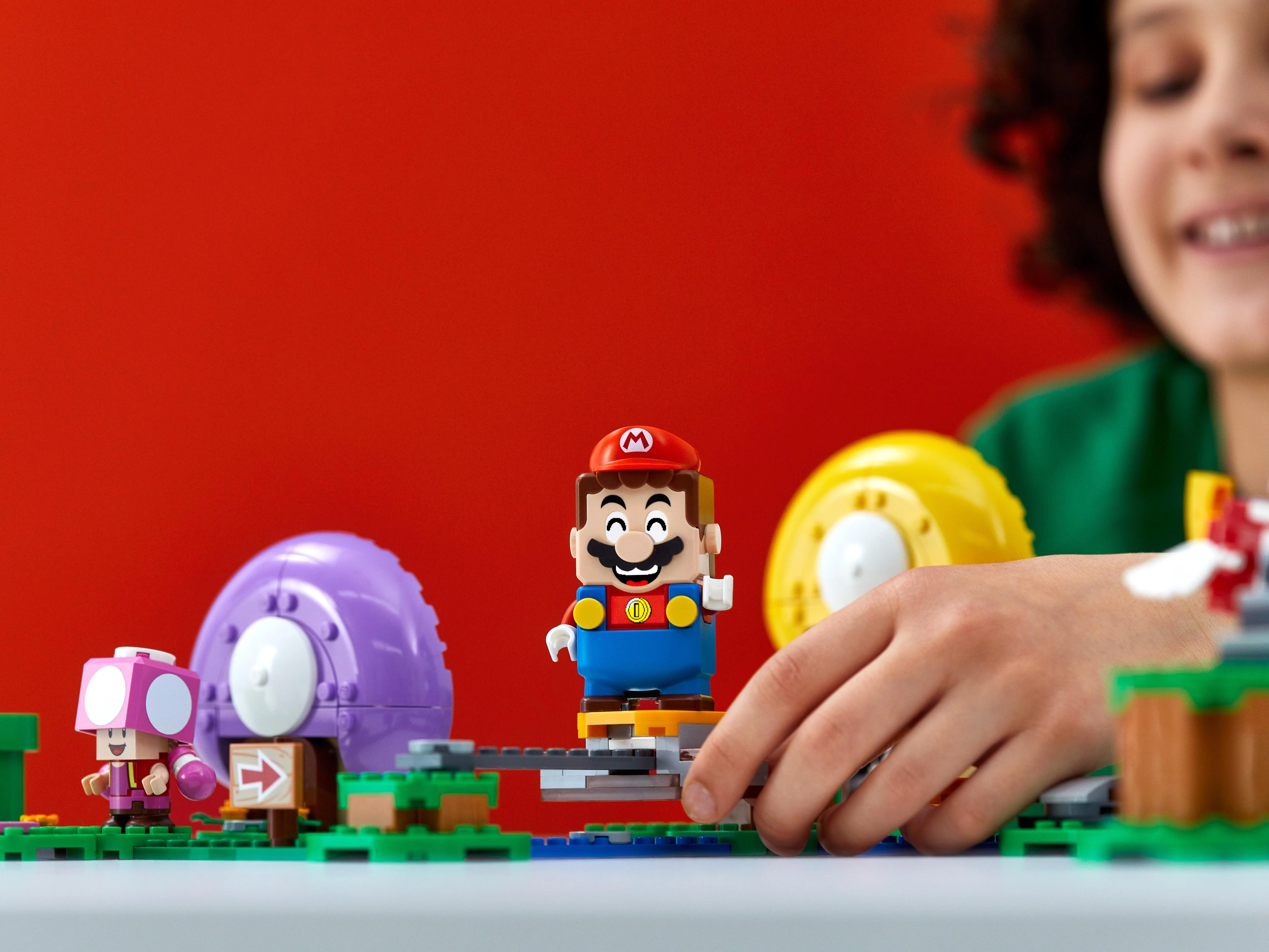 Toad's Treasure Hunt - Image 9