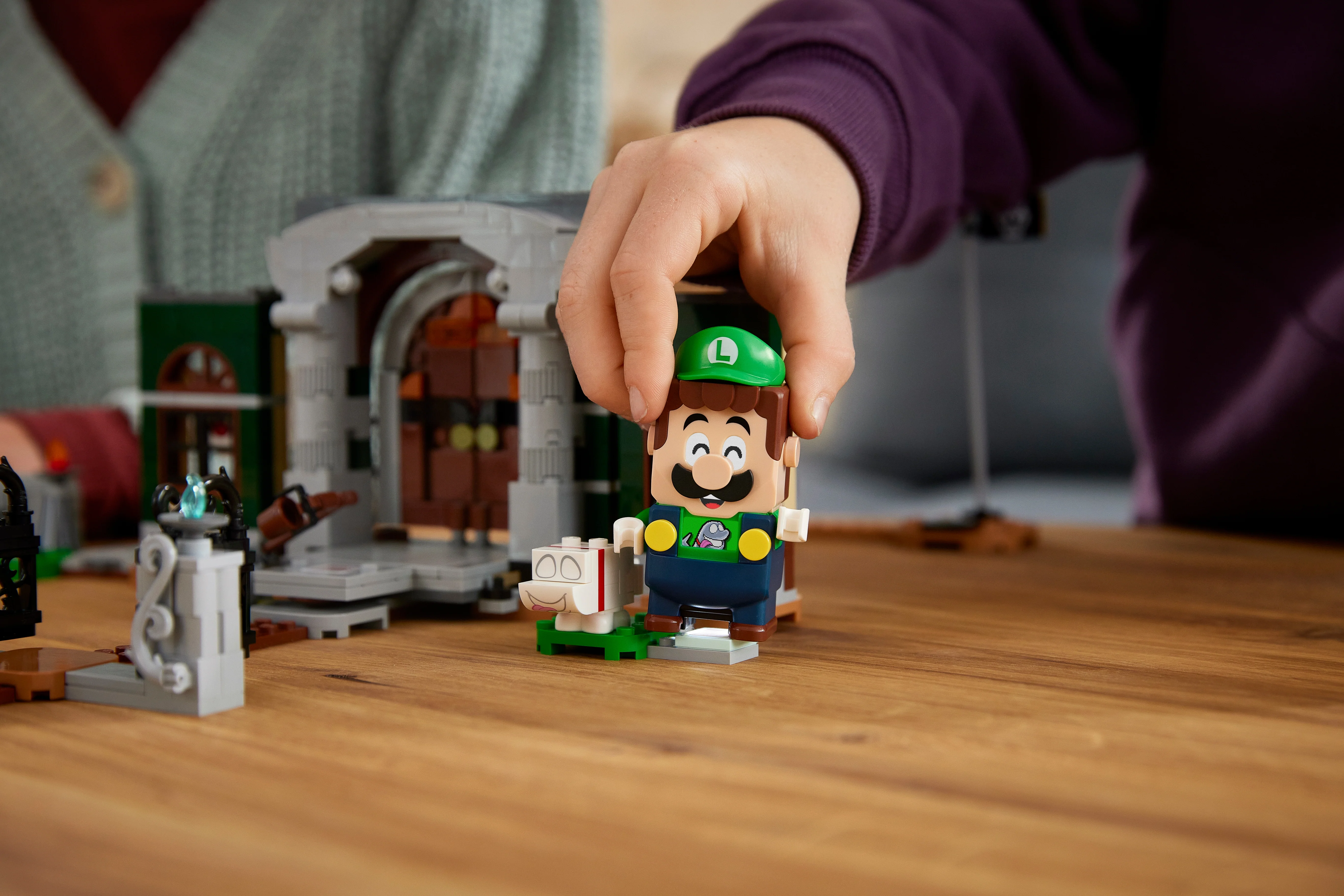 Luigi's Mansion Entryway - Image 14