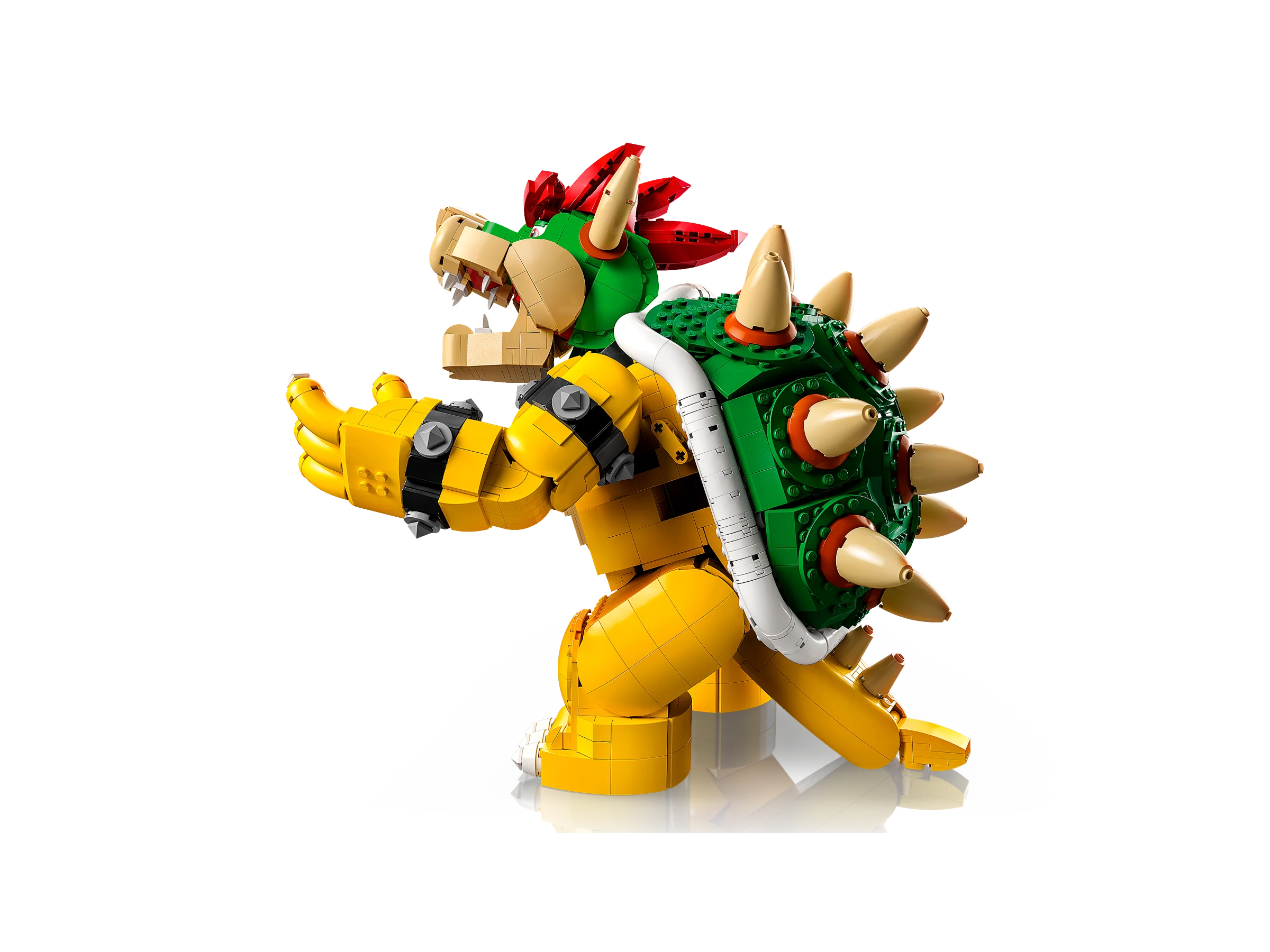 The Mighty Bowser - Image 5