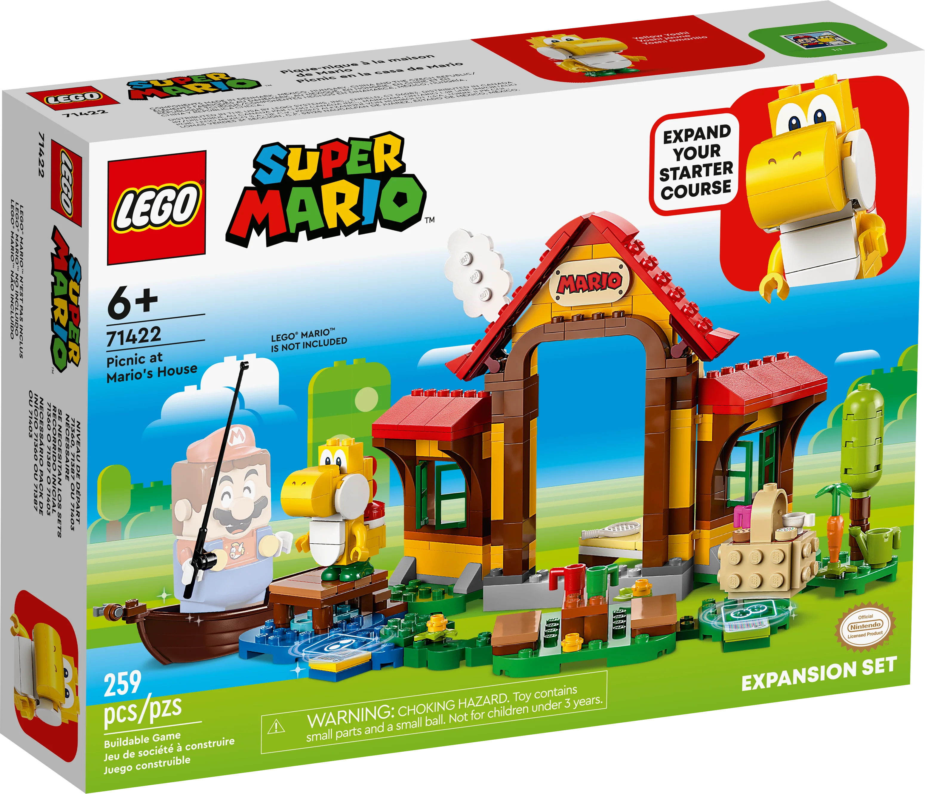 Picnic at Mario's House - Image 2