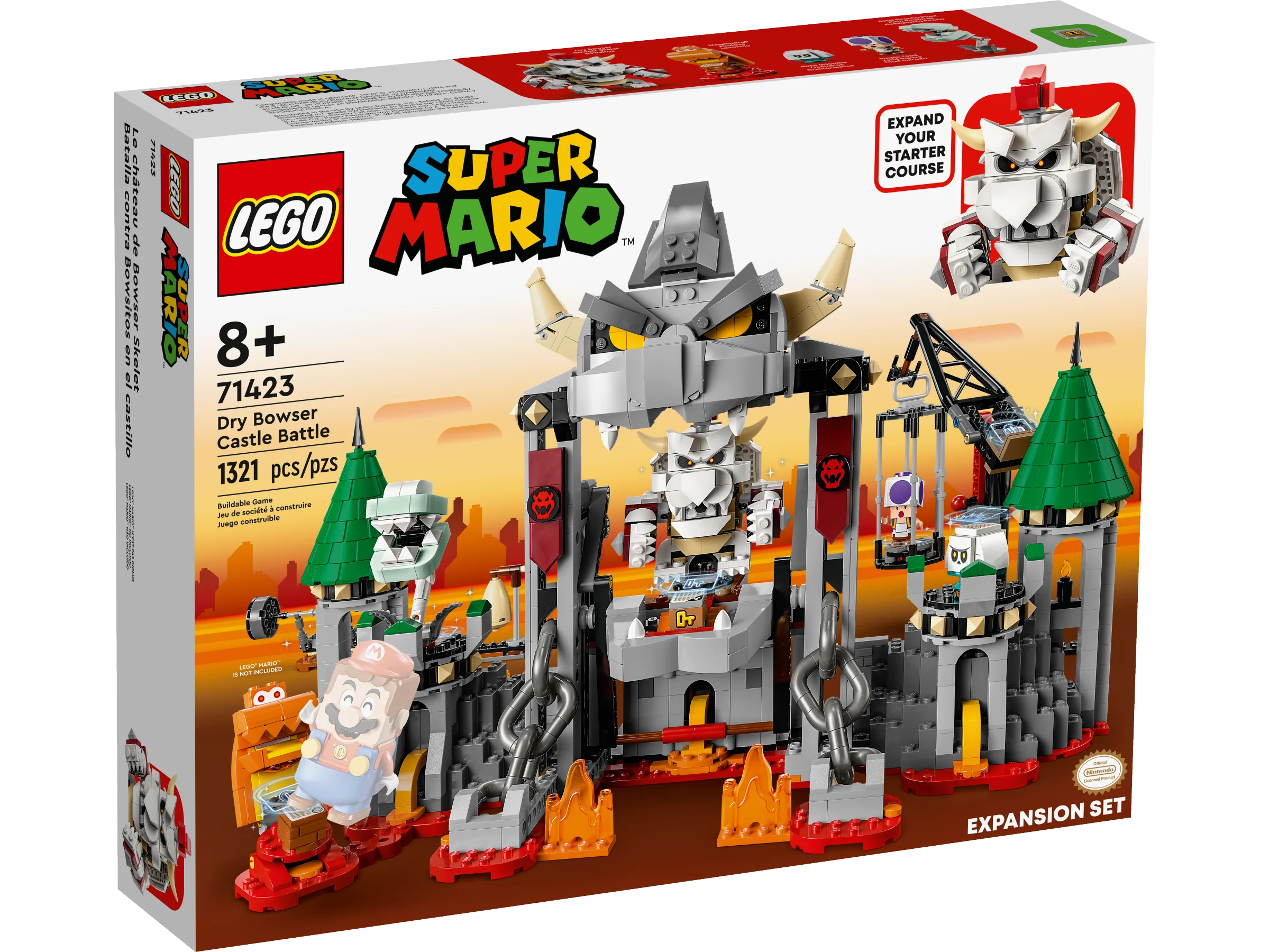 Dry Bowser Castle Battle - Image 2
