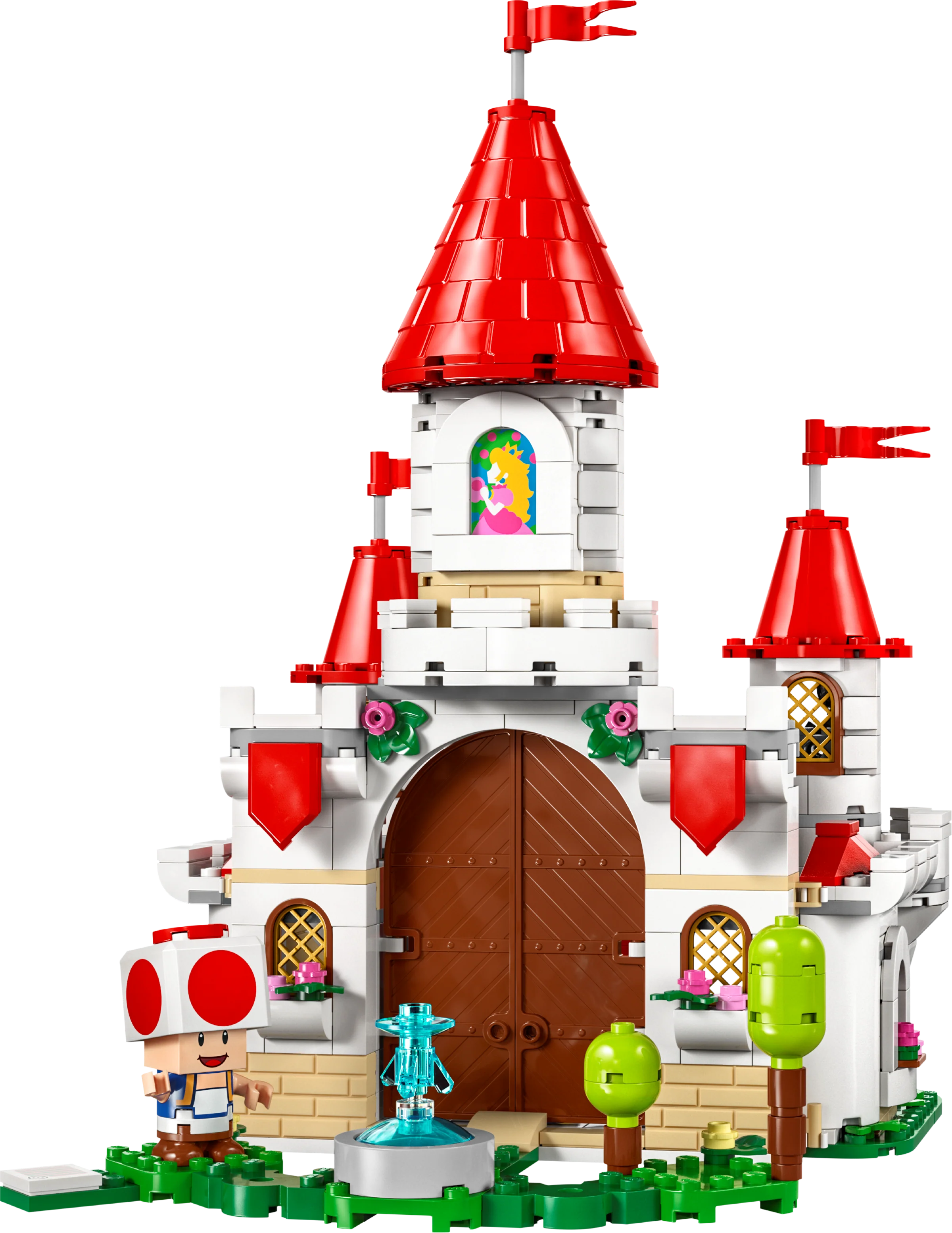 Battle with Roy at Peach's Castle - Image 4