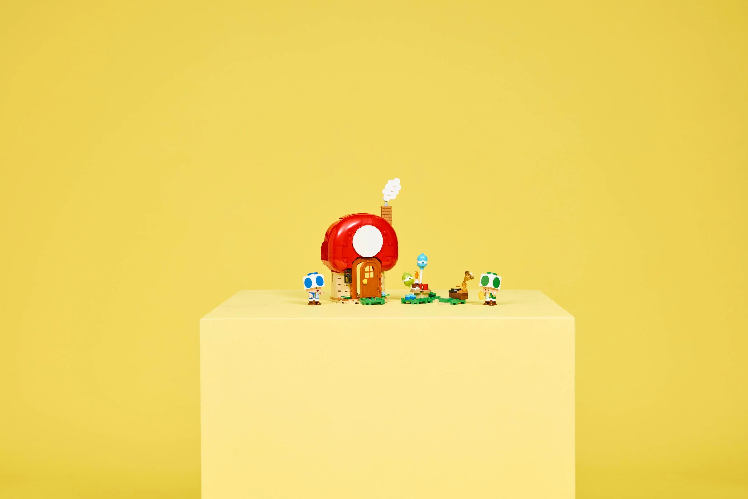 Party at Toad's House - Image 8
