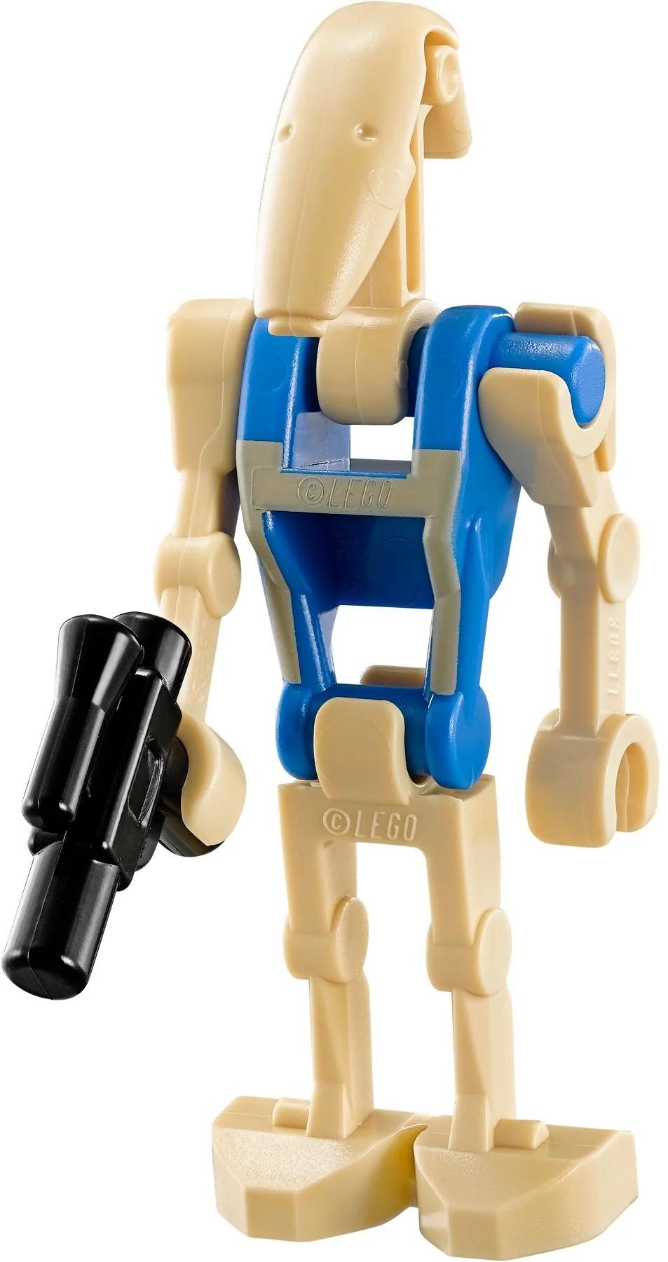 MTT - Image 6