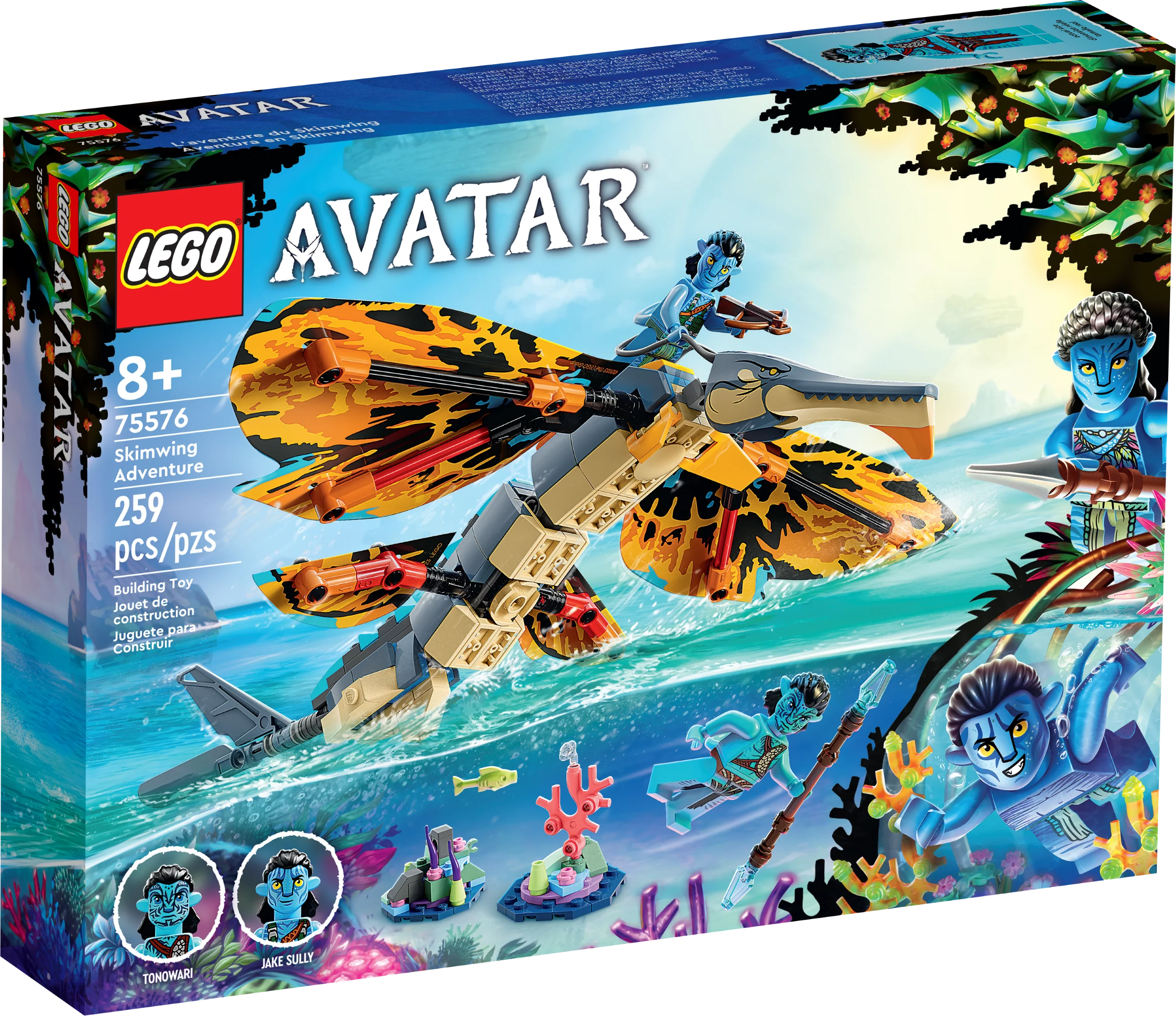 Skimwing Adventure - Image 2