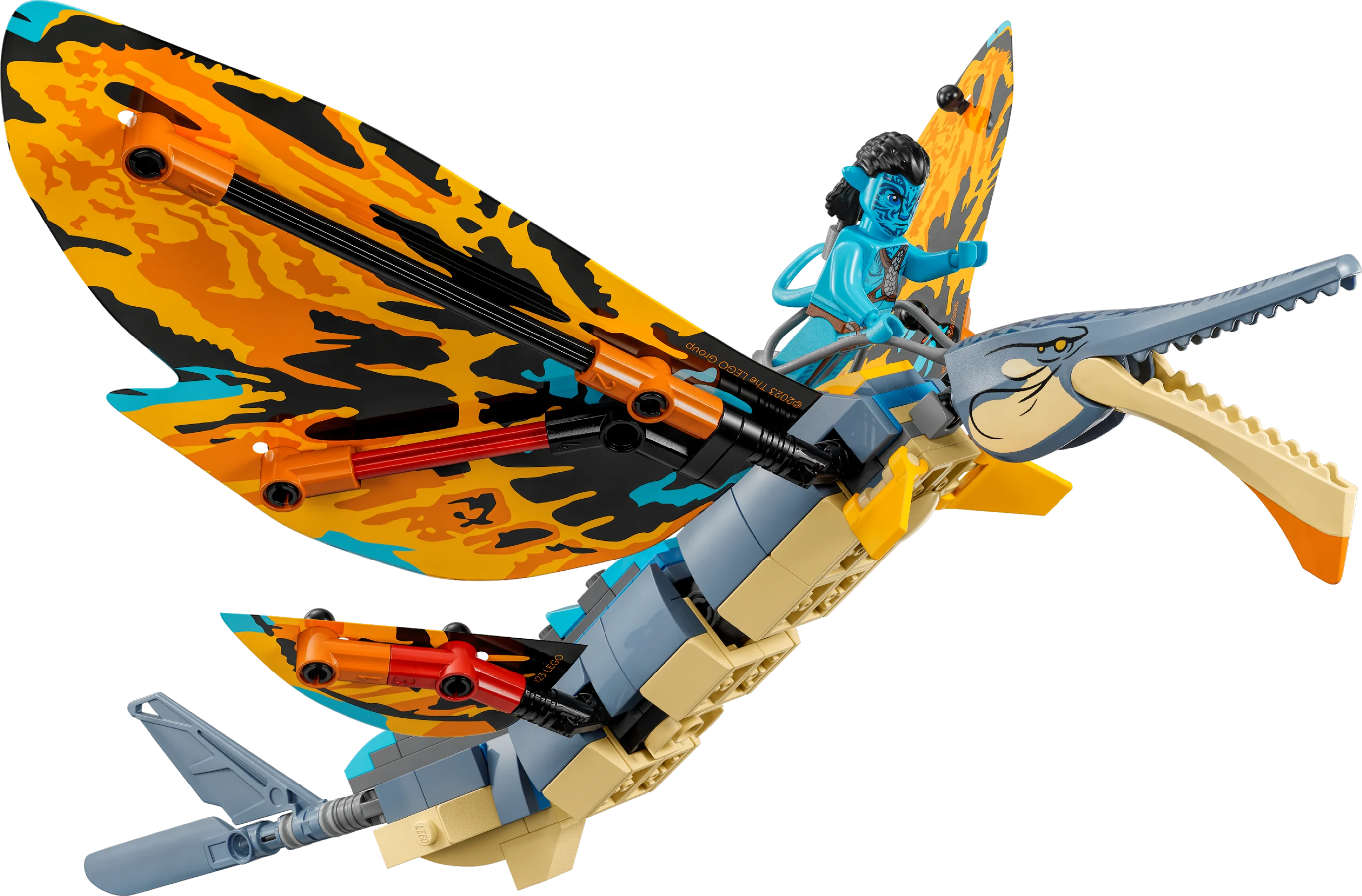 Skimwing Adventure - Image 3