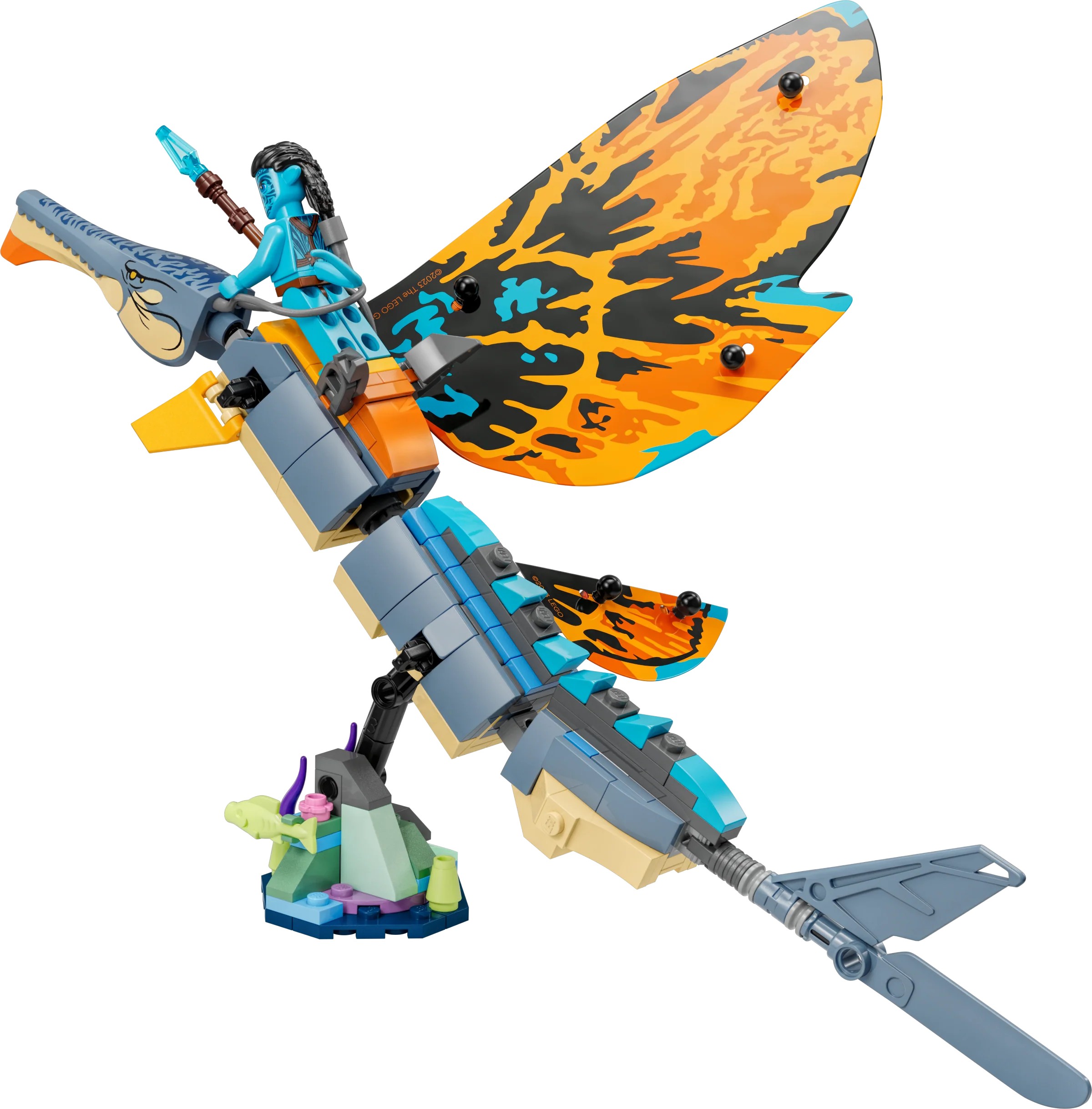 Skimwing Adventure - Image 4
