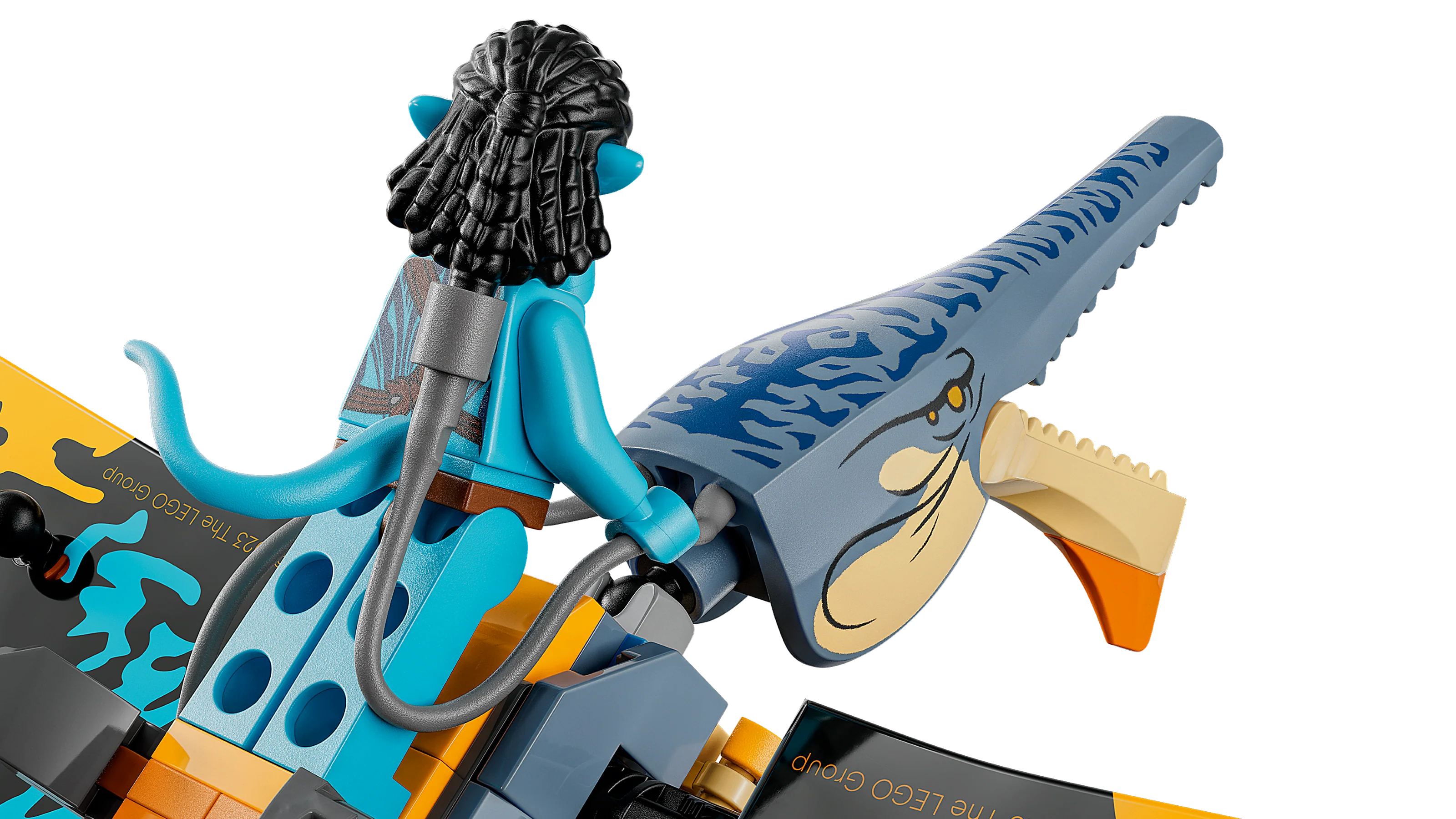 Skimwing Adventure - Image 7