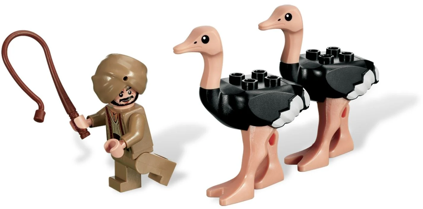 The Ostrich Race - Image 5