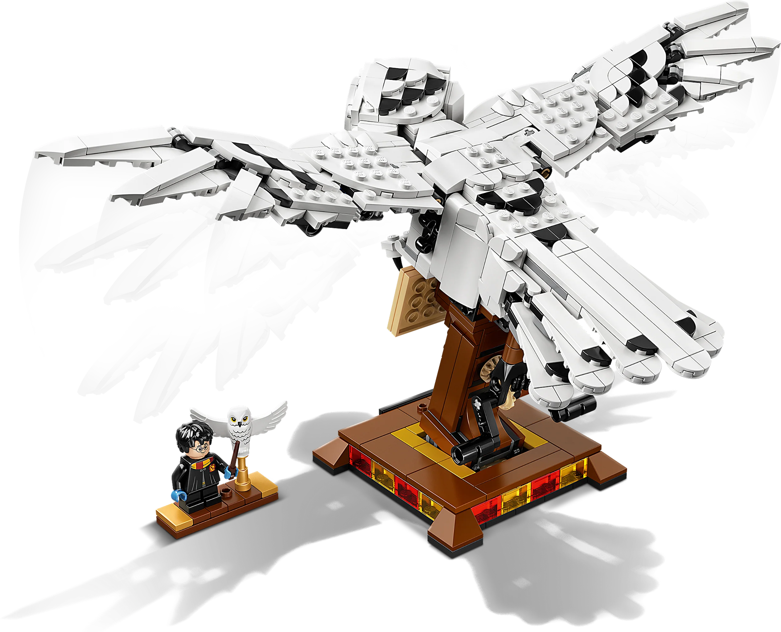 Hedwig - Image 5