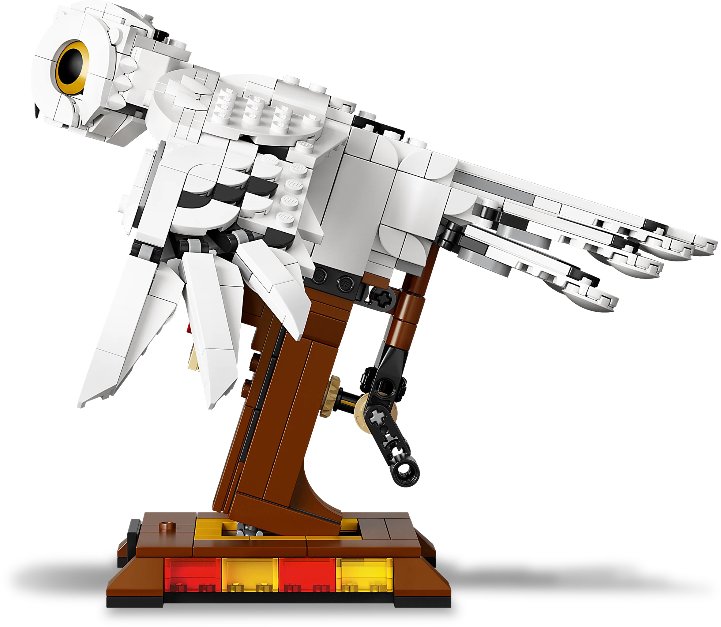 Hedwig - Image 6