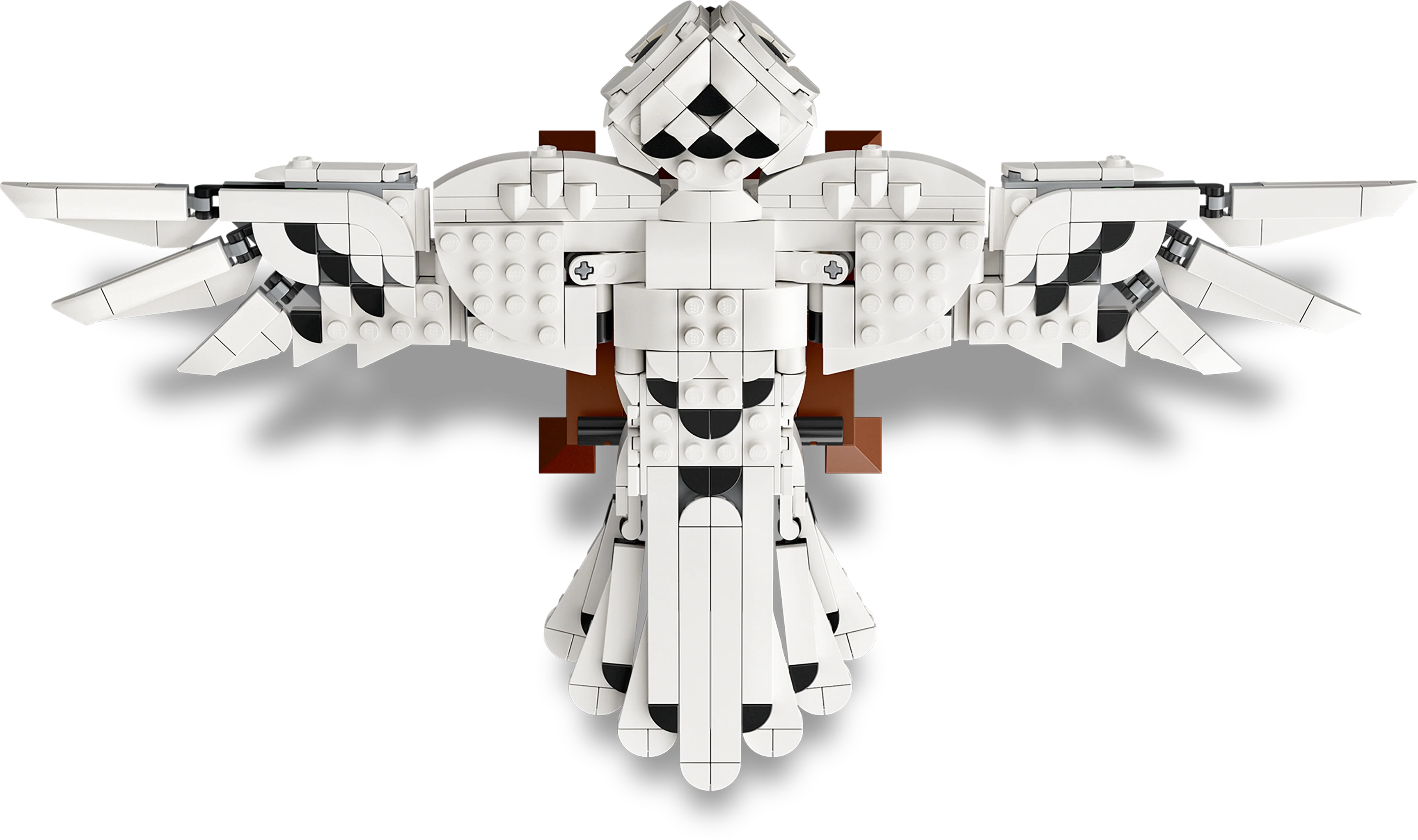 Hedwig - Image 7