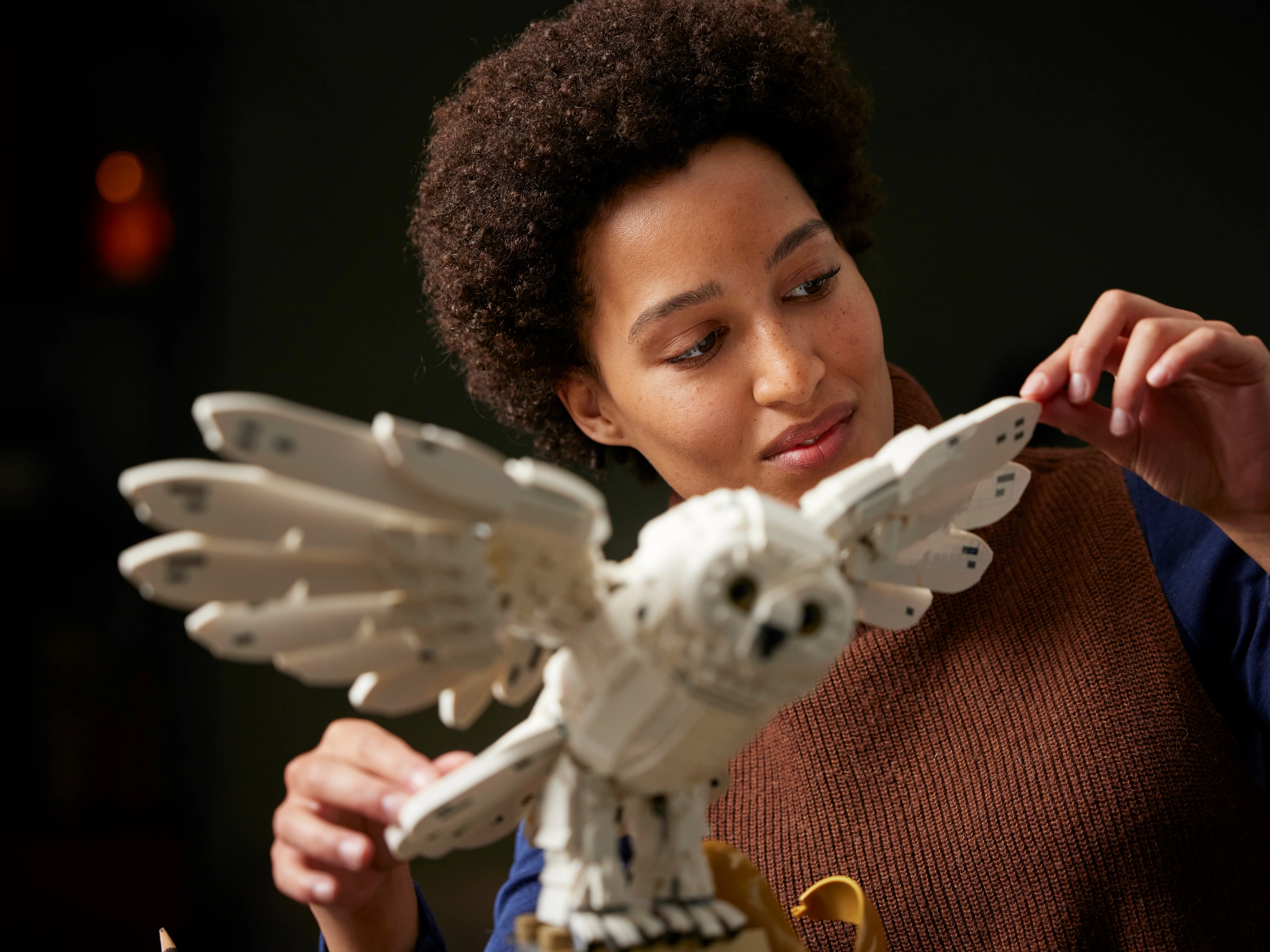 Hogwarts Icons - Collectors' Edition - Image 12