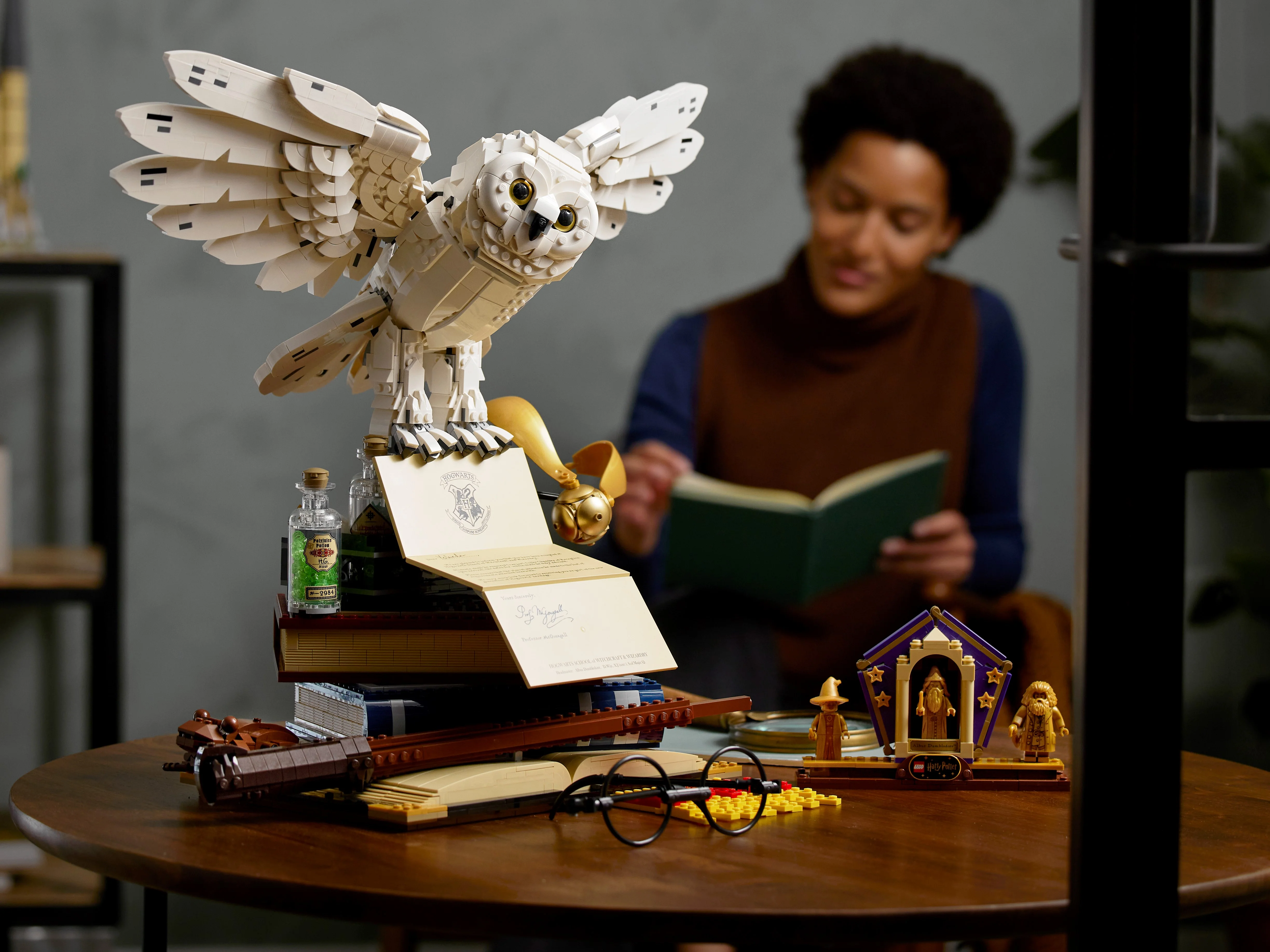 Hogwarts Icons - Collectors' Edition - Image 17
