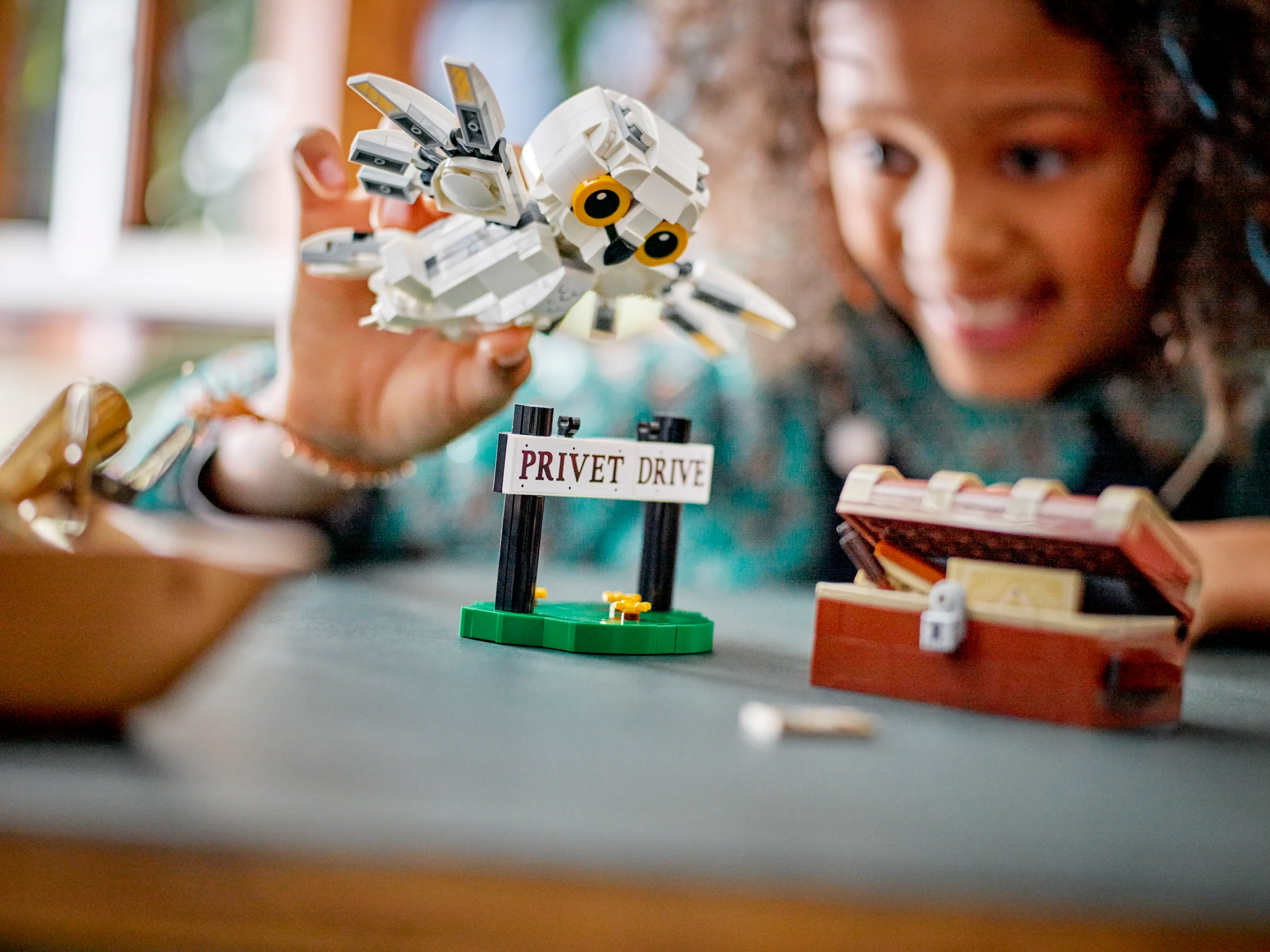Hedwig at 4 Privet Drive - Image 9
