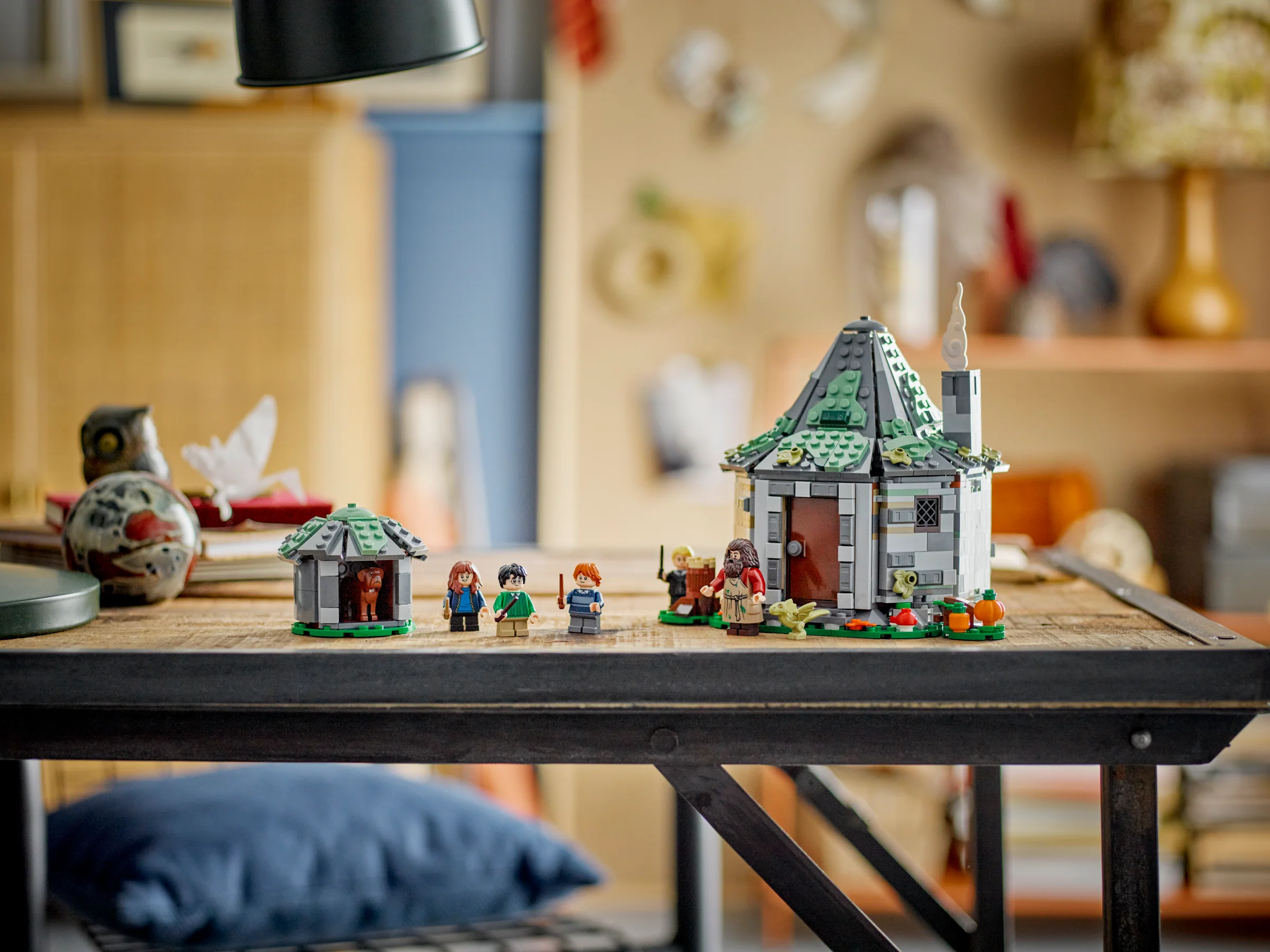 Hagrid's Hut: An Unexpected Visit - Image 12