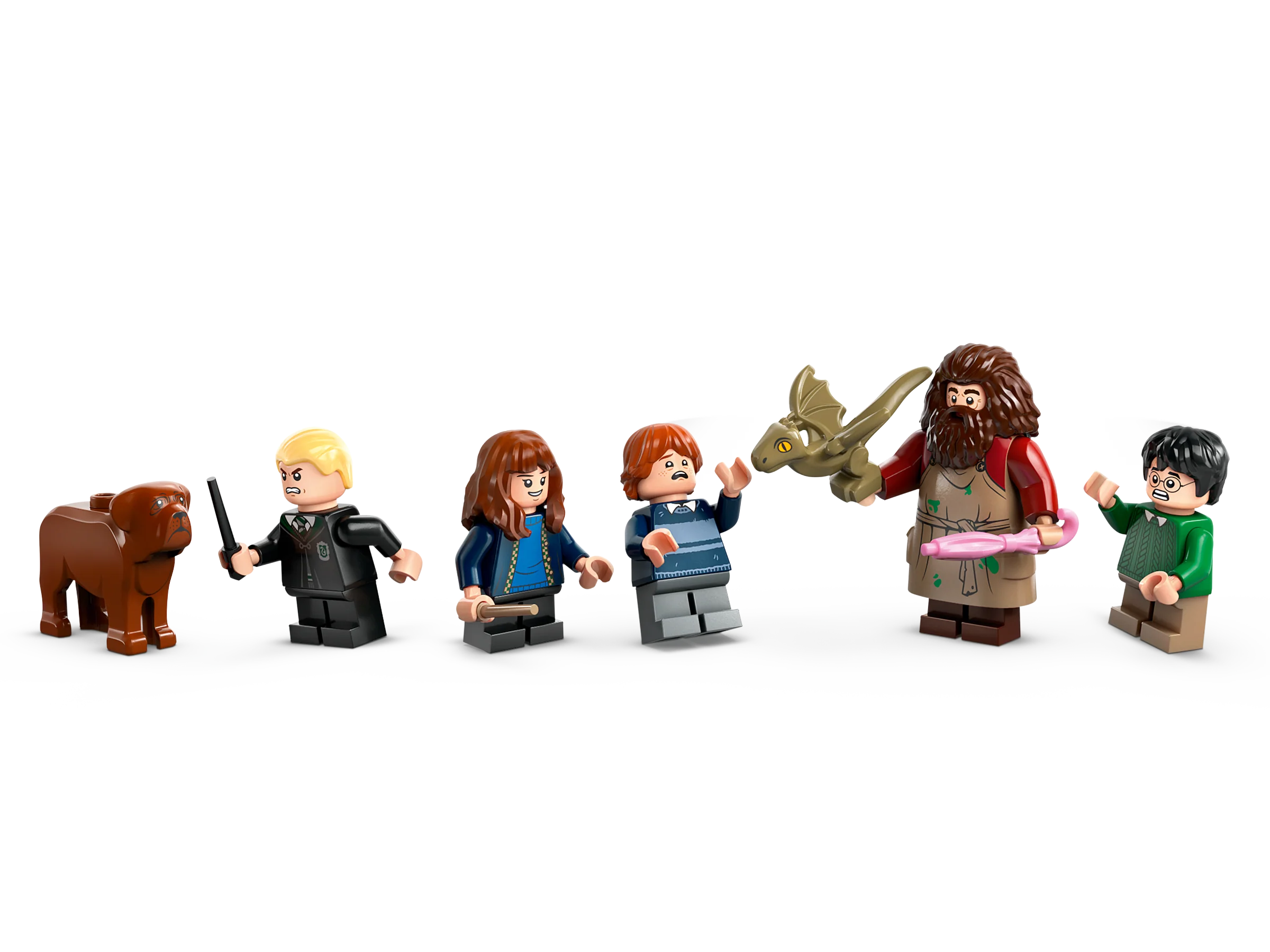 Hagrid's Hut: An Unexpected Visit - Image 8