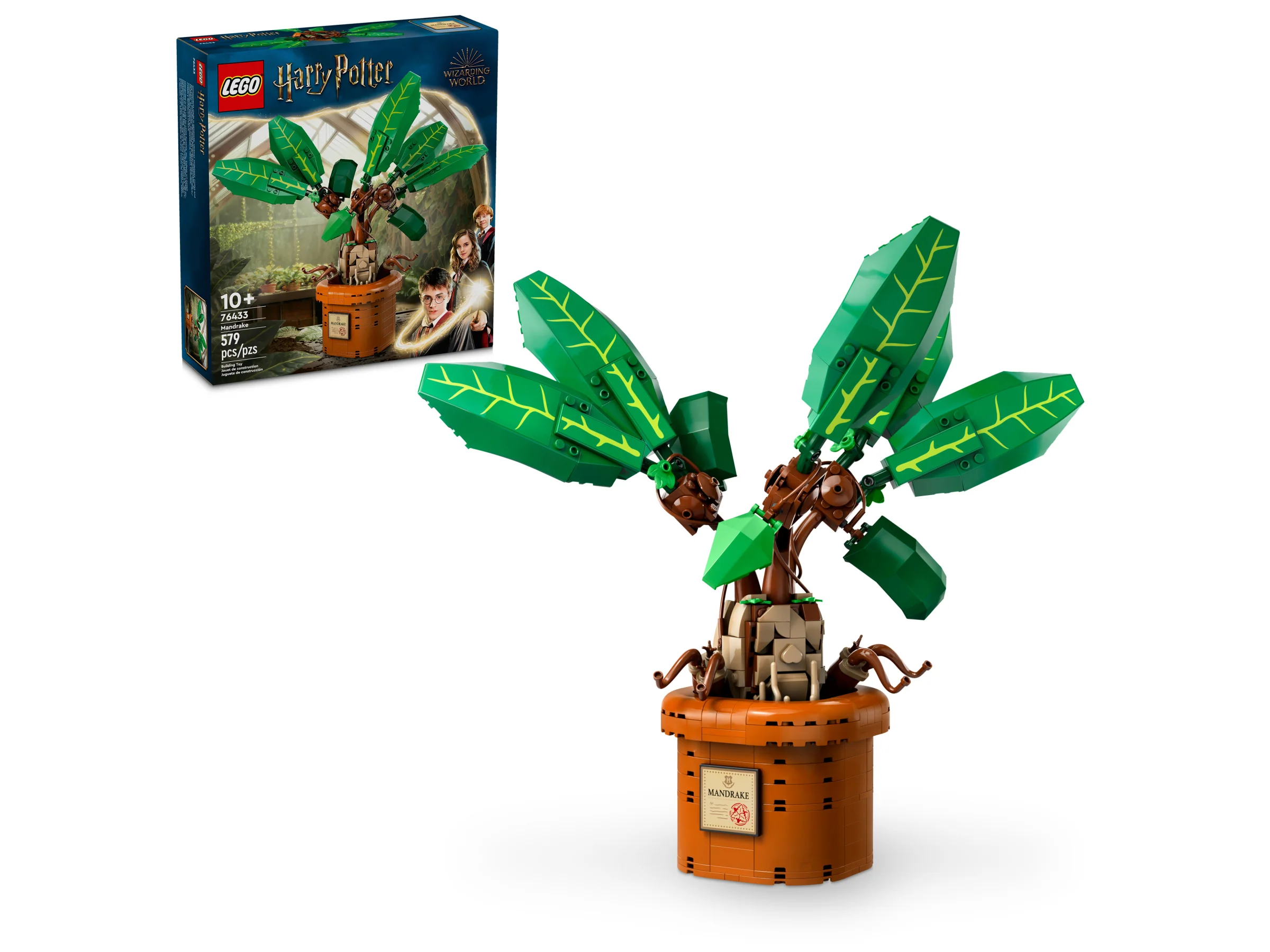 Mandrake - Image 2