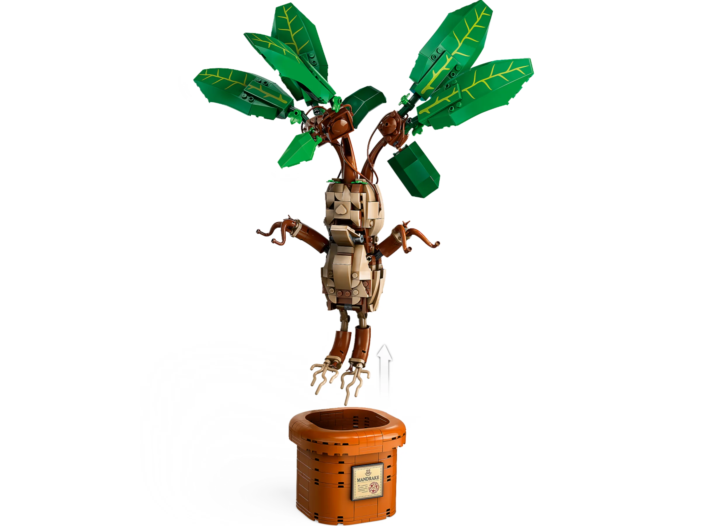 Mandrake - Image 3