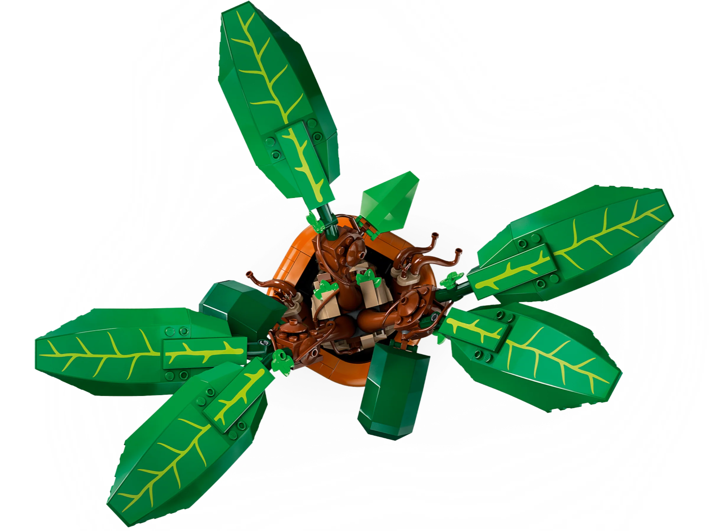 Mandrake - Image 5