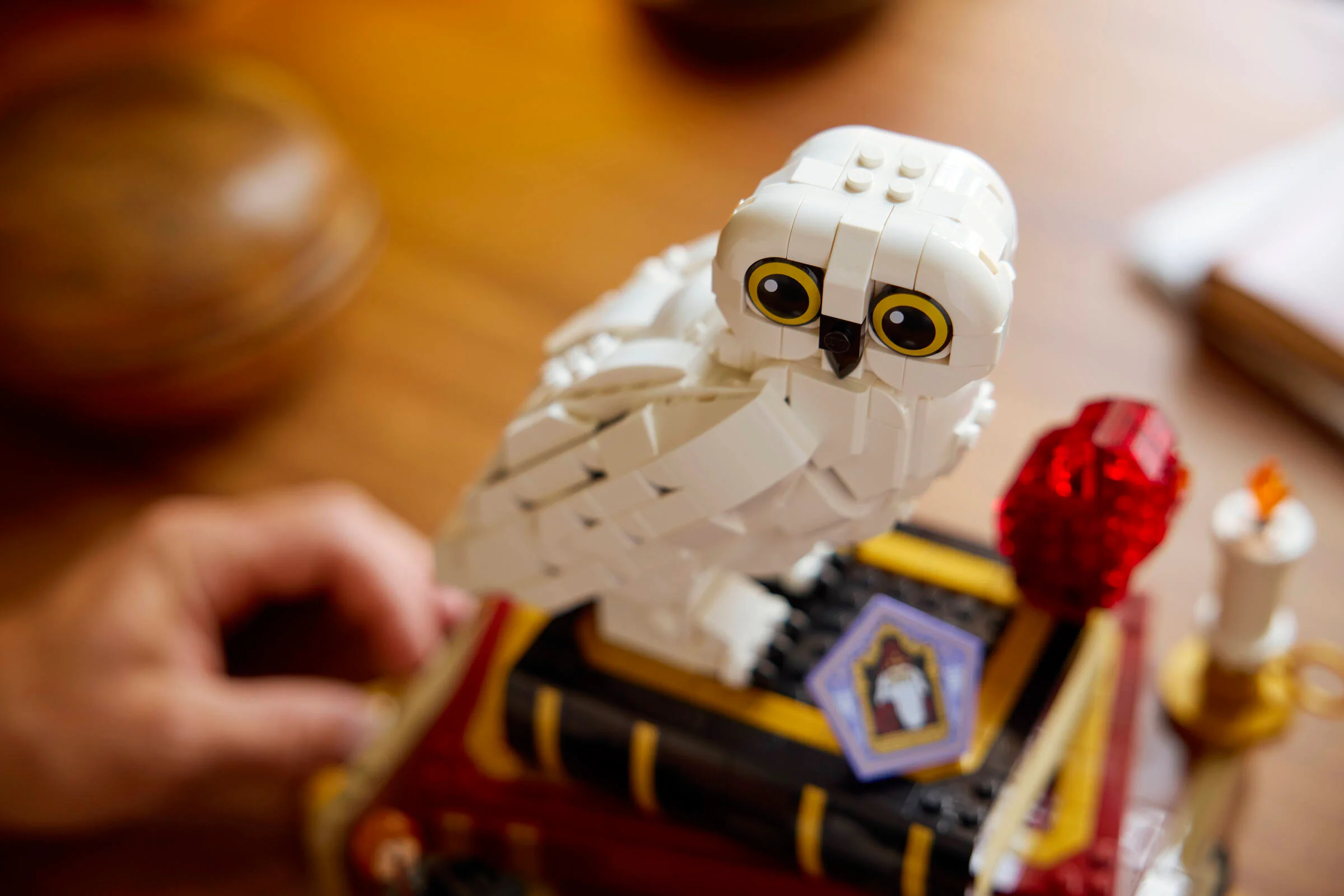 Philosopher's Stone – Collectors' Edition - Image 11