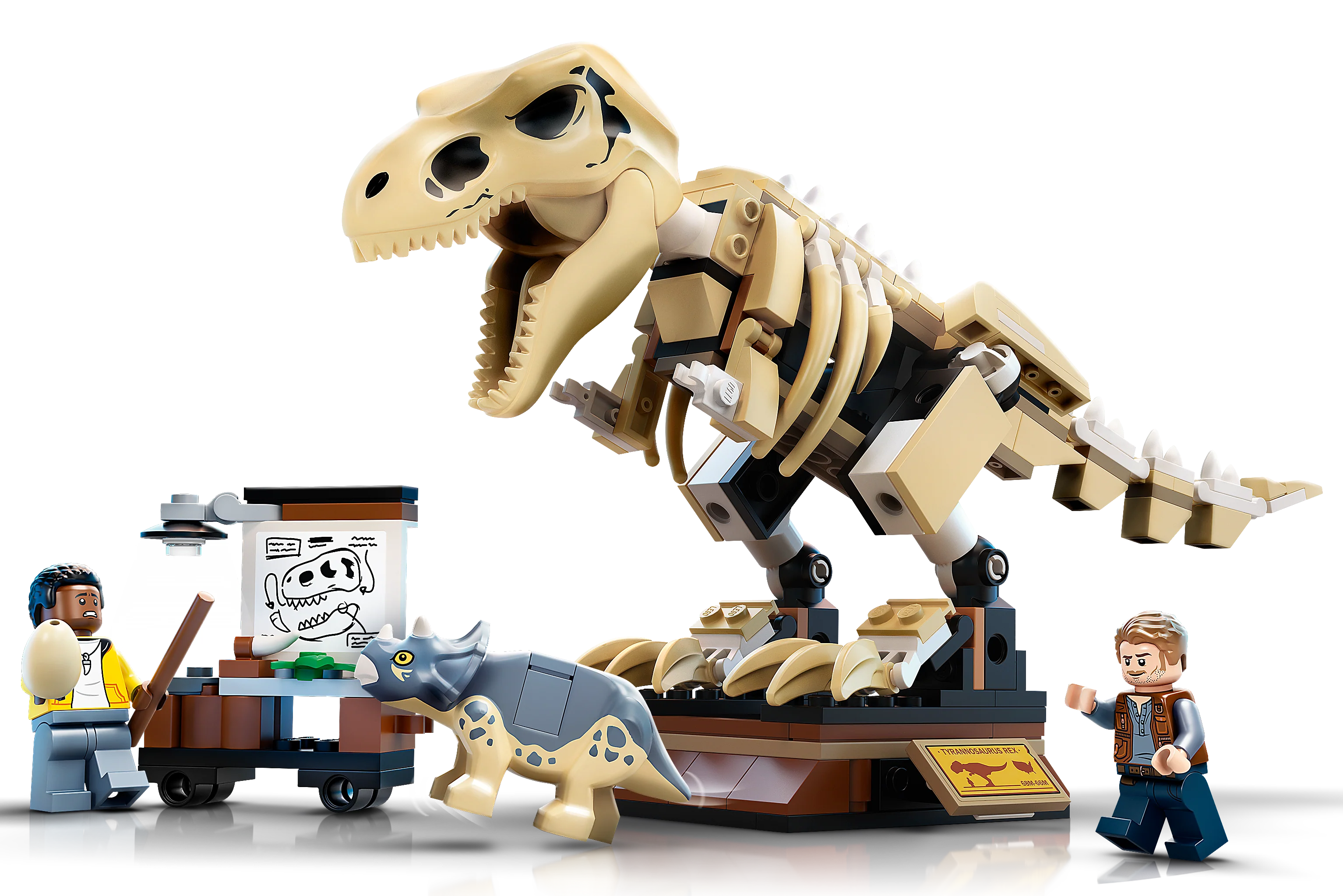 T. rex Dinosaur Fossil Exhibition - Image 4