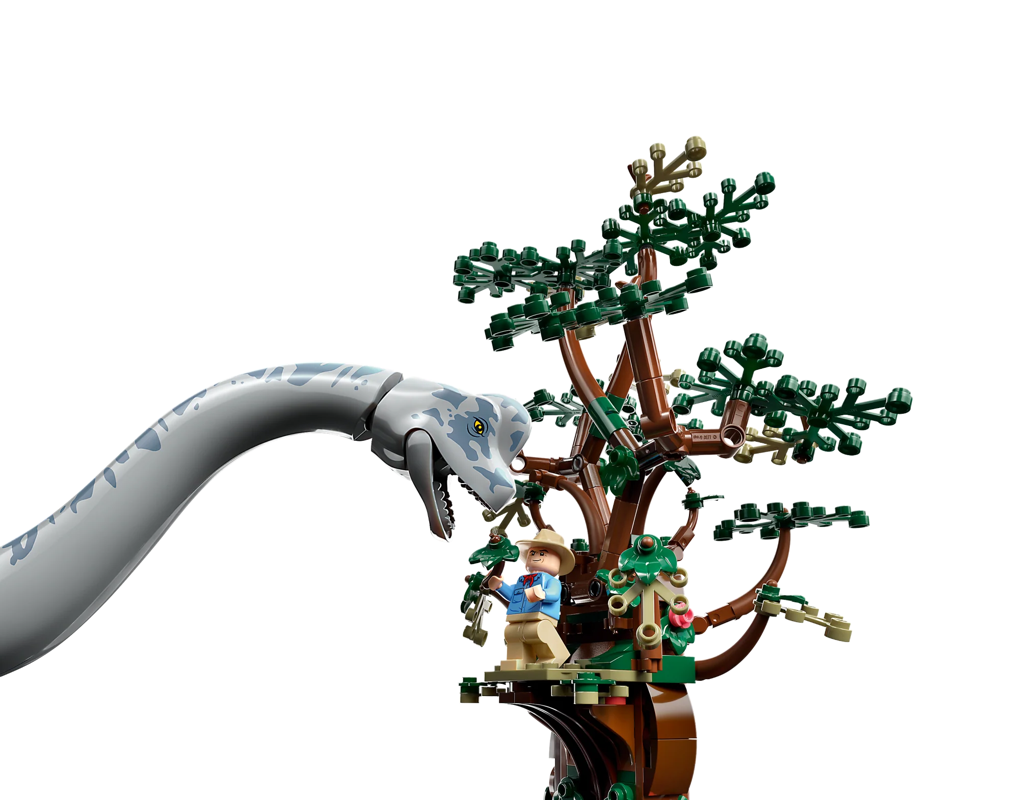Brachiosaurus Discovery - Image 3