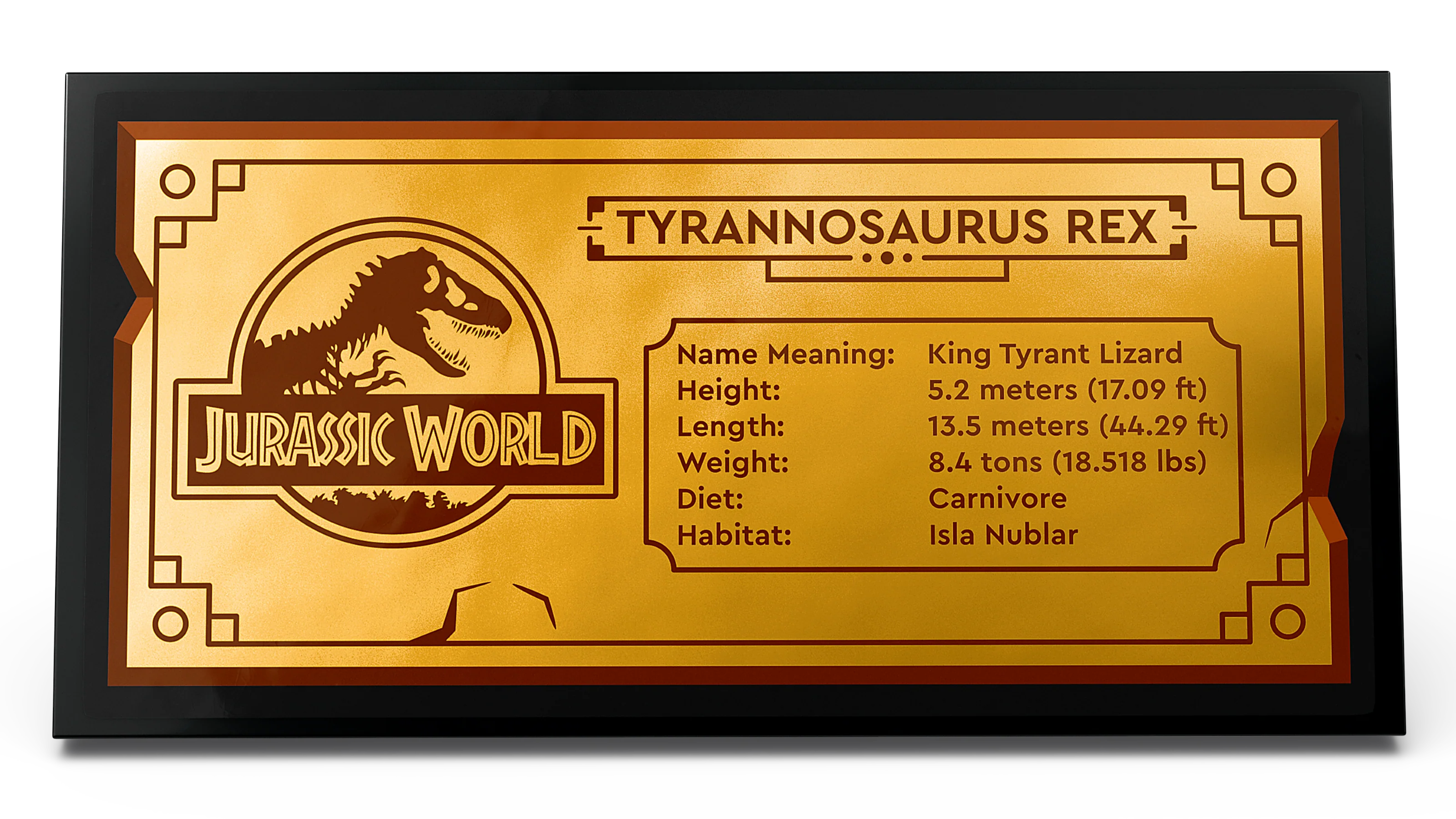 Dinosaur Fossils: T. rex Skull - Image 4