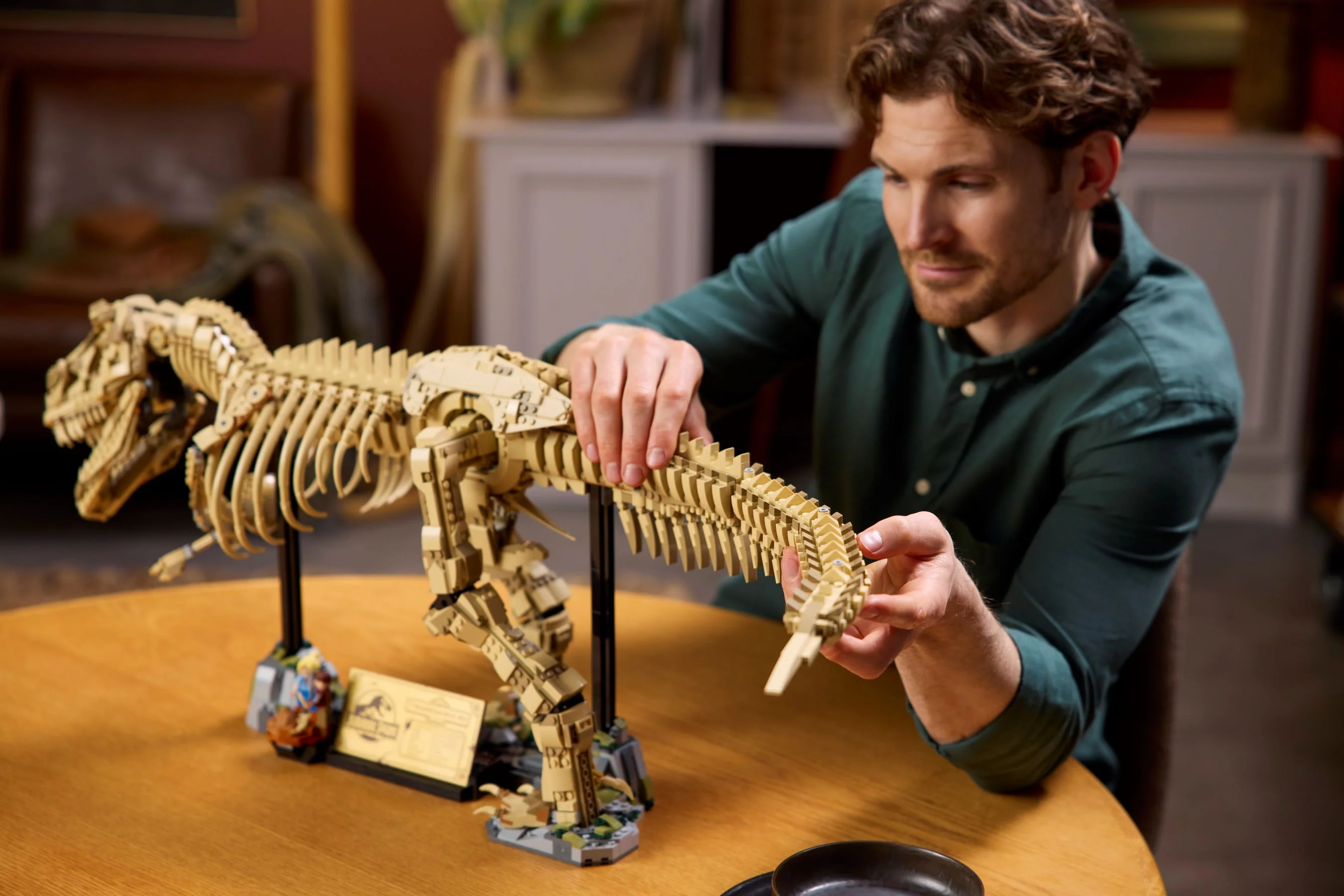 Dinosaur Fossils: Tyrannosaurus rex - Image 10