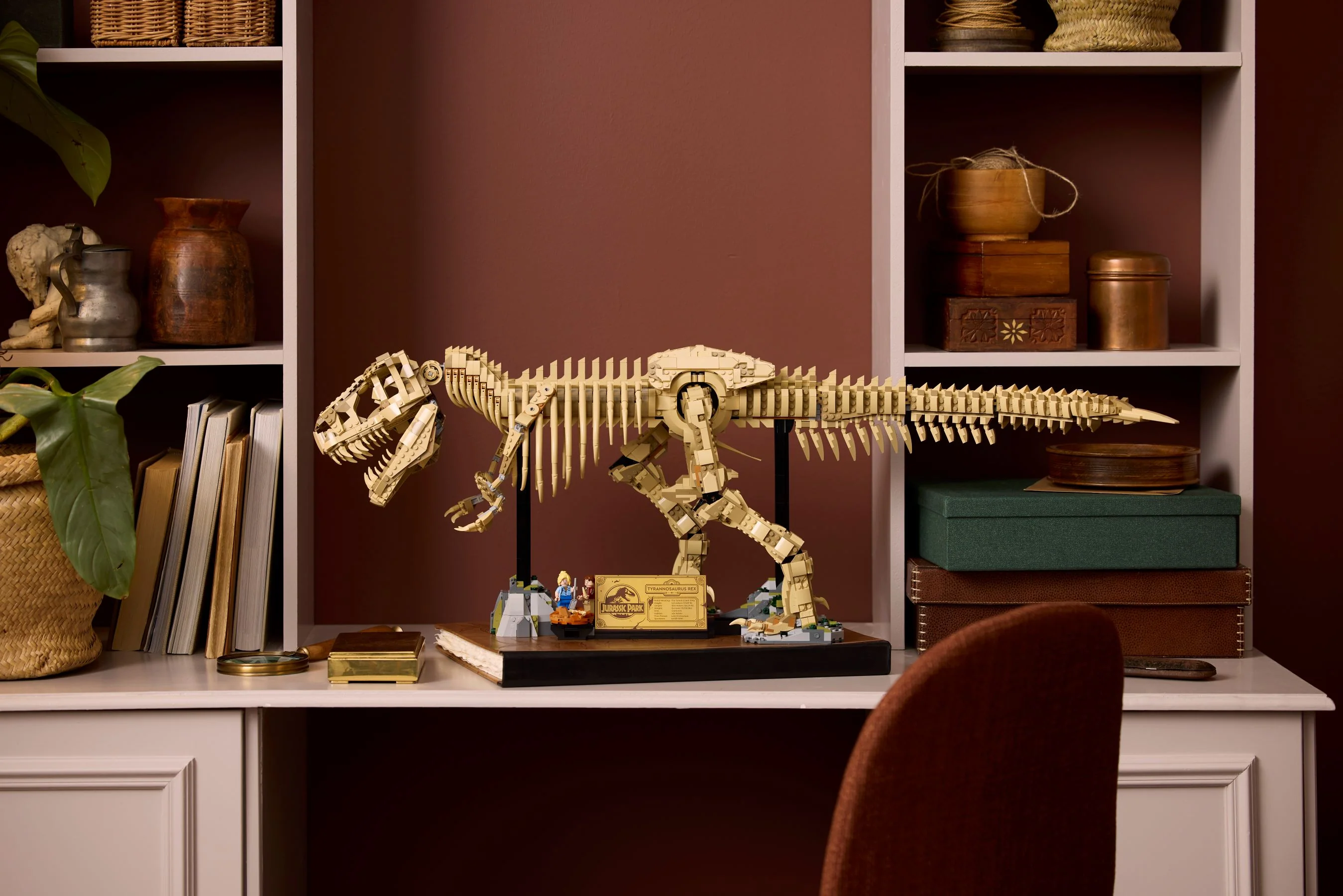 Dinosaur Fossils: Tyrannosaurus rex - Image 11