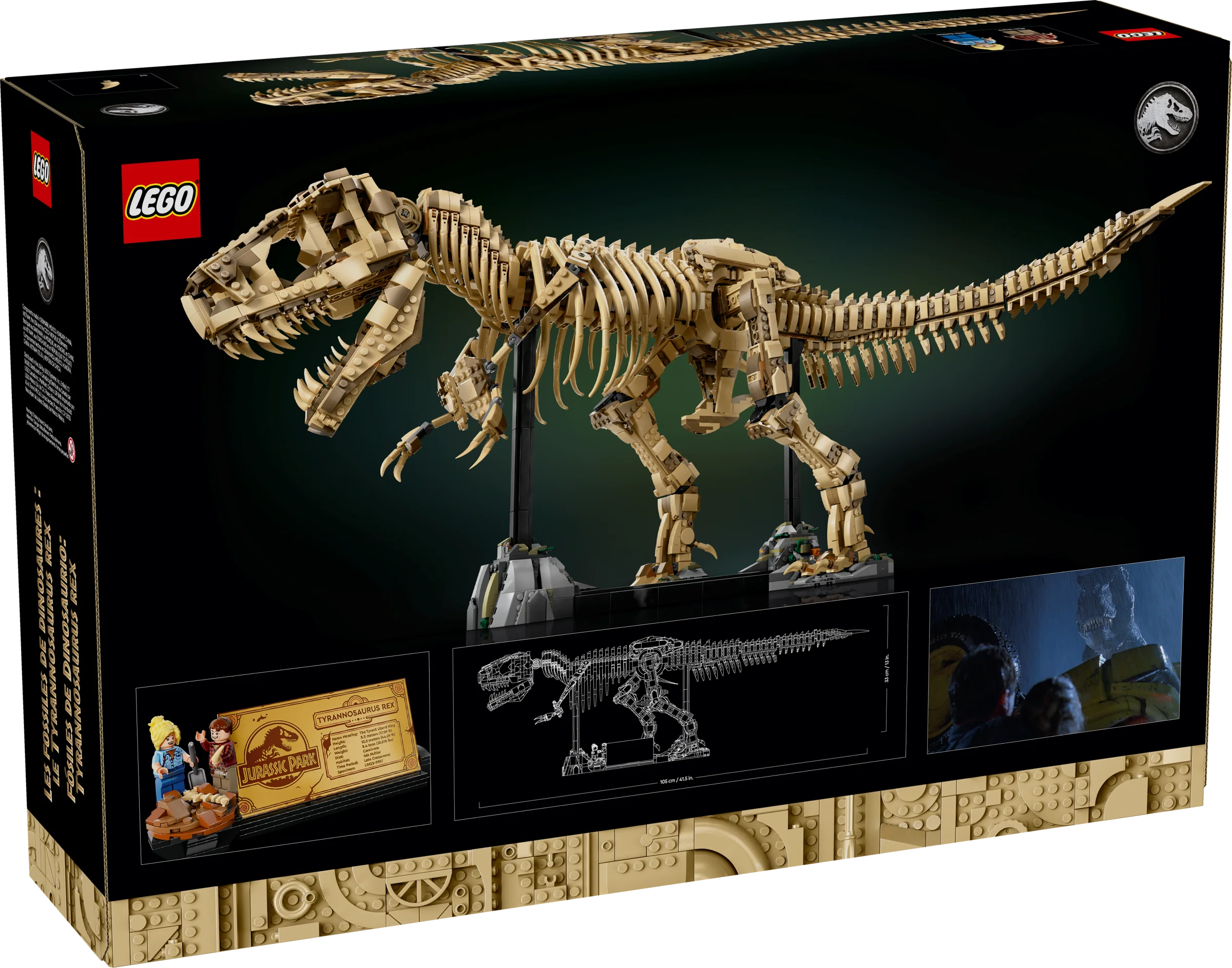 Dinosaur Fossils: Tyrannosaurus rex - Image 13