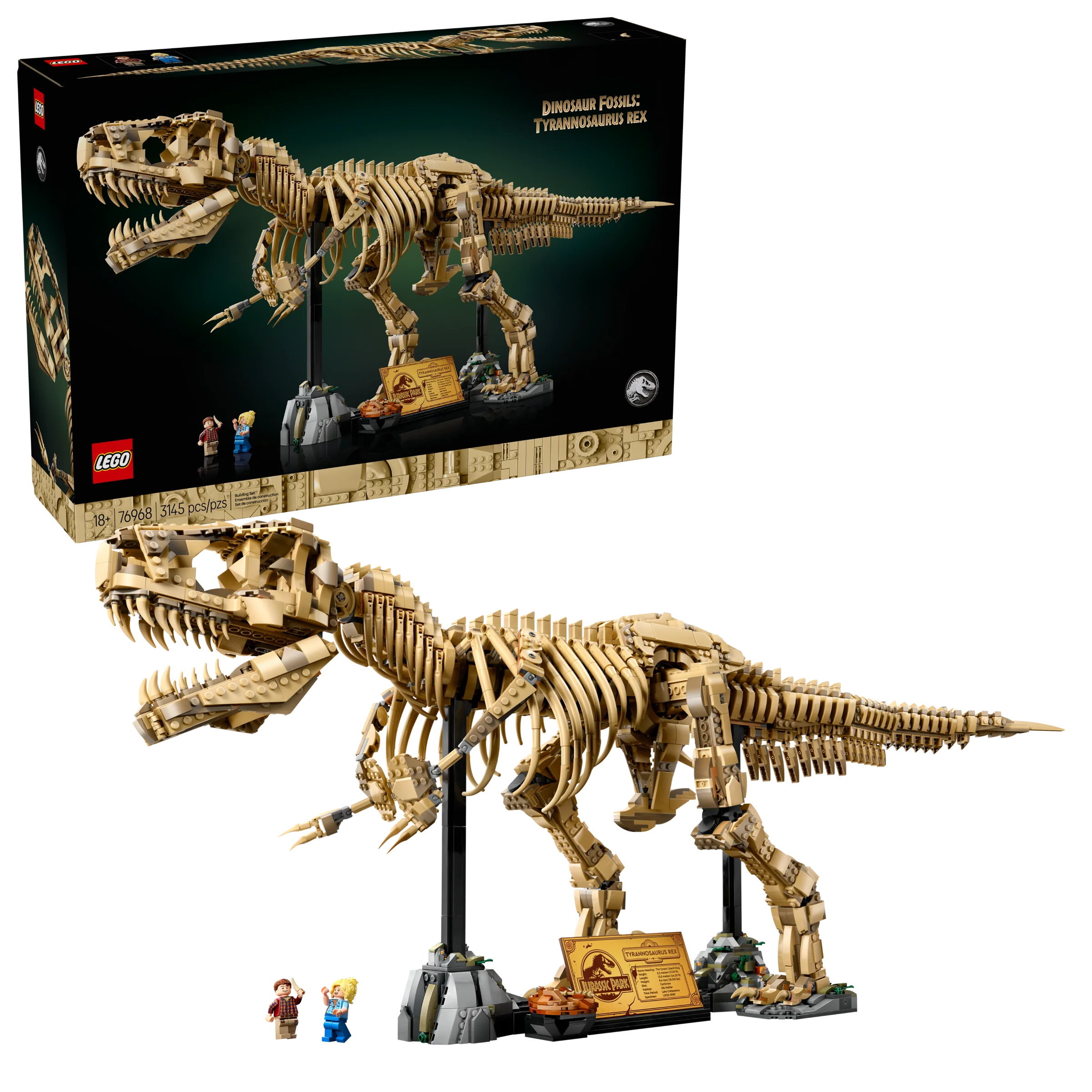 Dinosaur Fossils: Tyrannosaurus rex - Image 2