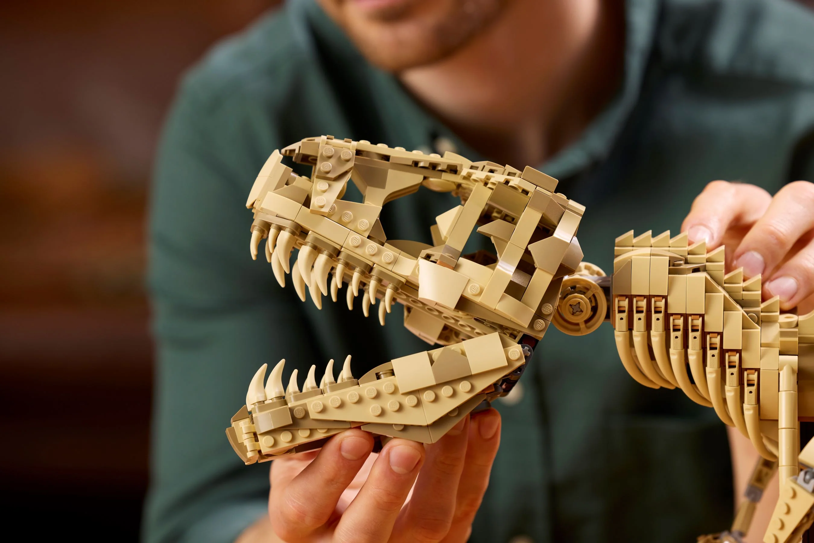 Dinosaur Fossils: Tyrannosaurus rex - Image 8