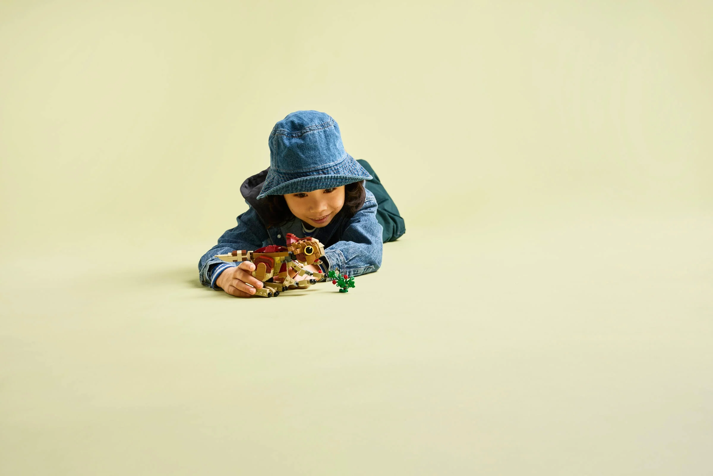 Baby Dinosaur Dolores: Aquilops - Image 7