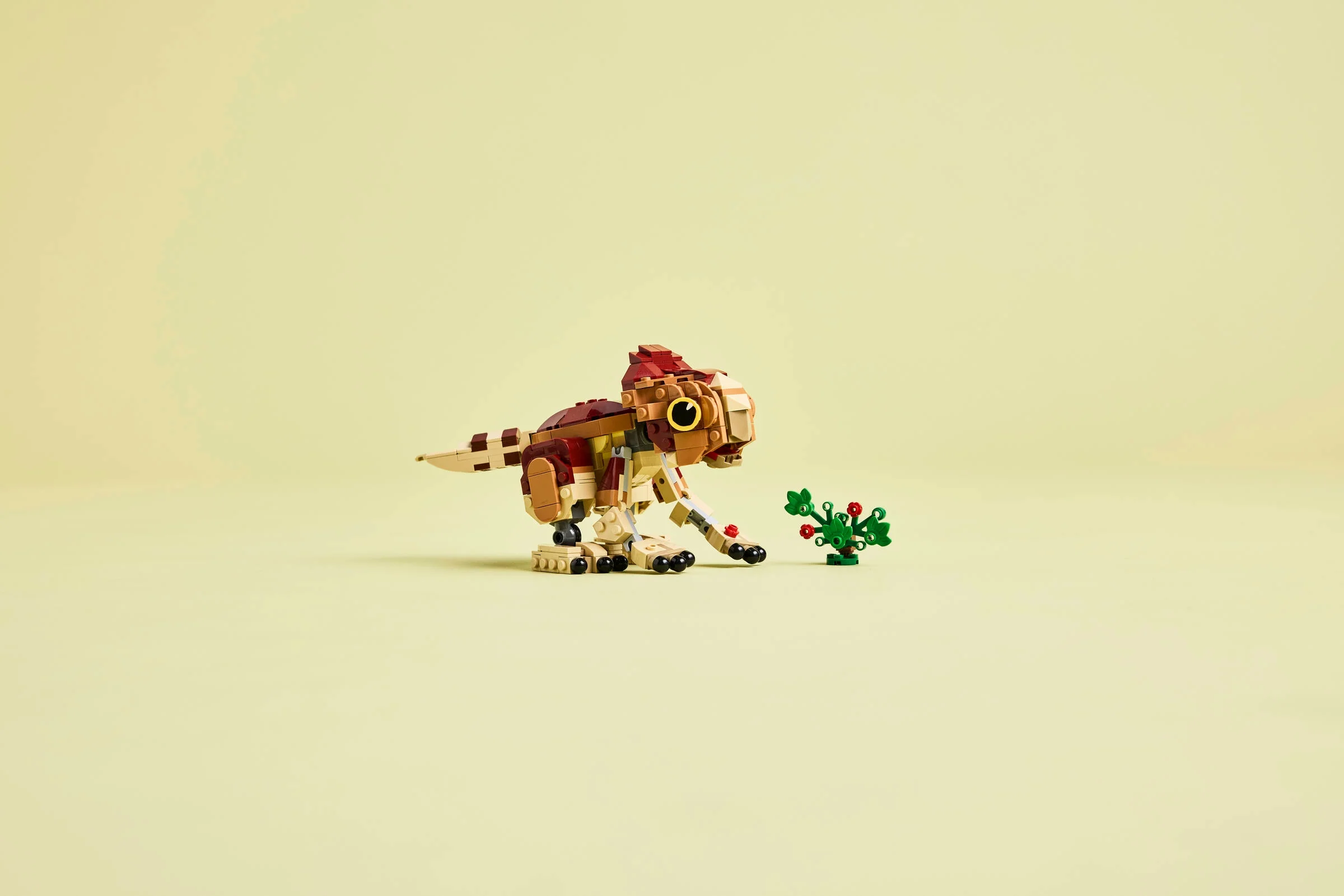 Baby Dinosaur Dolores: Aquilops - Image 9