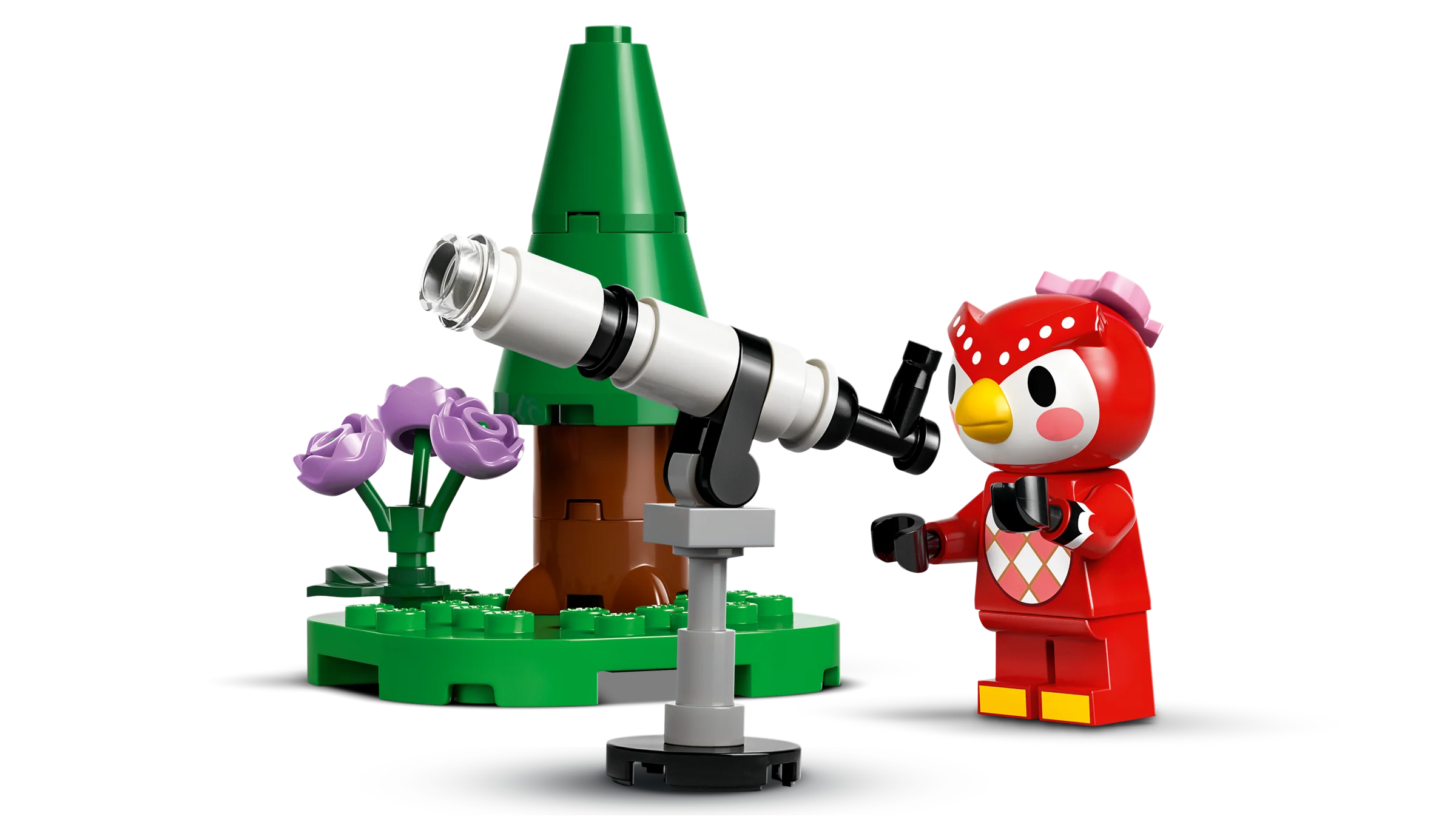 Stargazing with Celeste - Image 3
