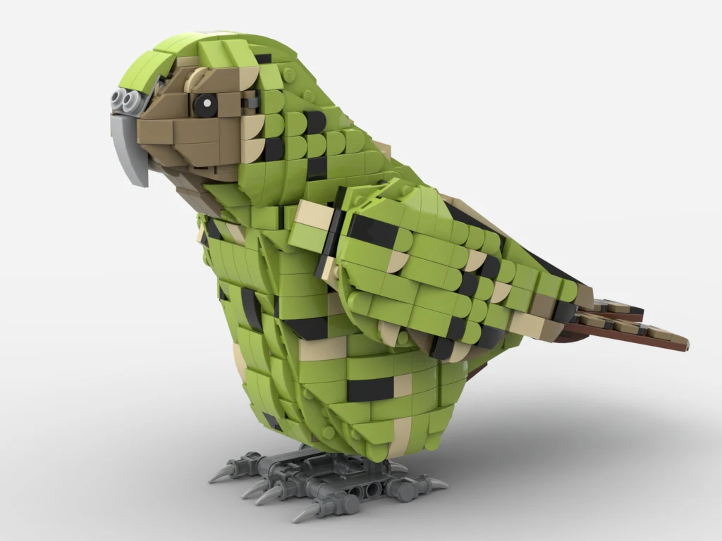 Kakapo - Image 5